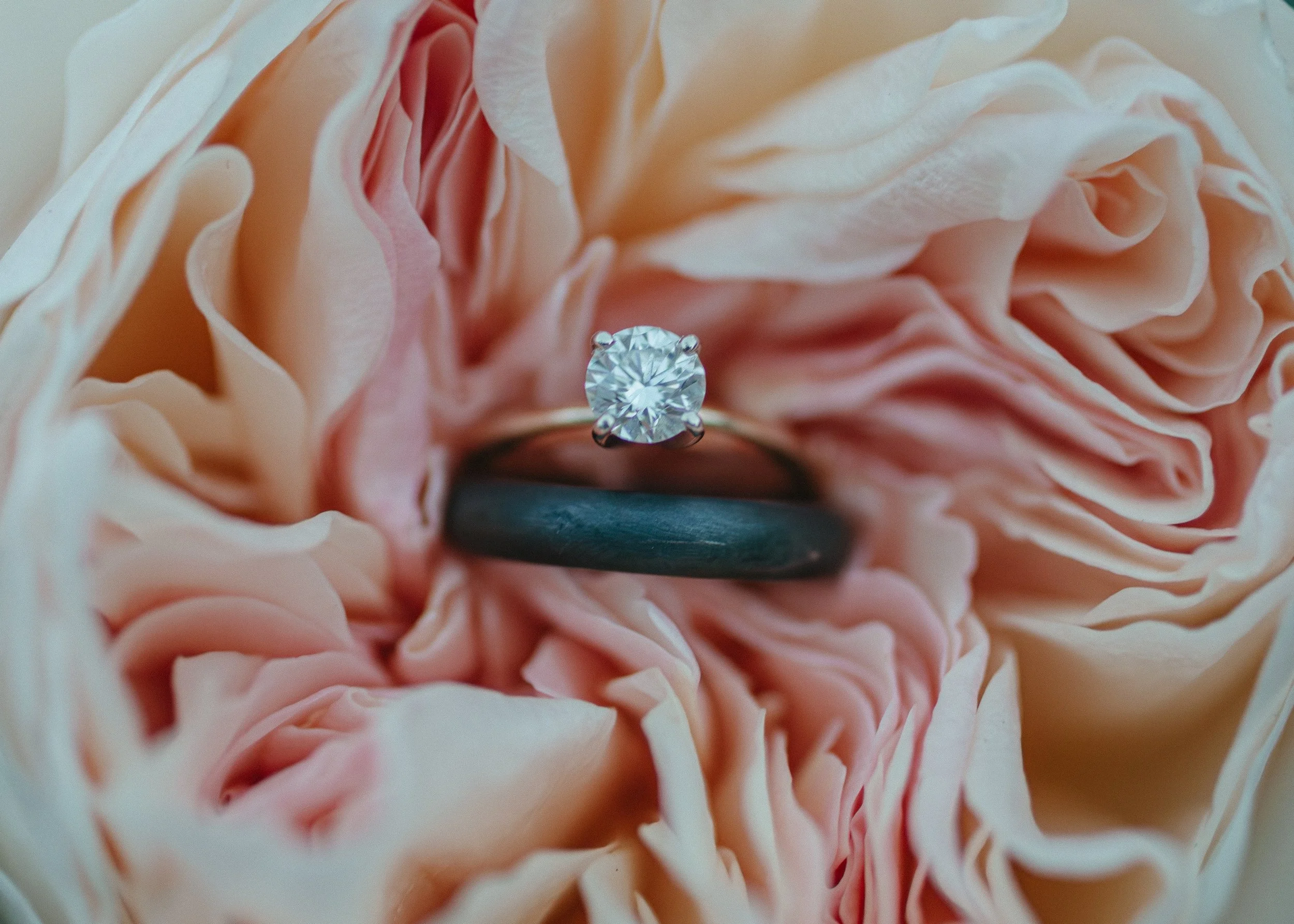 LoganColePhotographyweddings-5934 copy.jpg