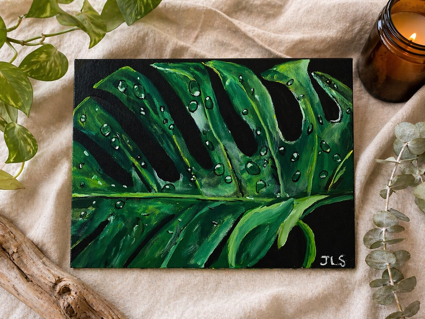 Fine Art Print Monstera Leaf With Dewdrops 8 x 10” matte finish
