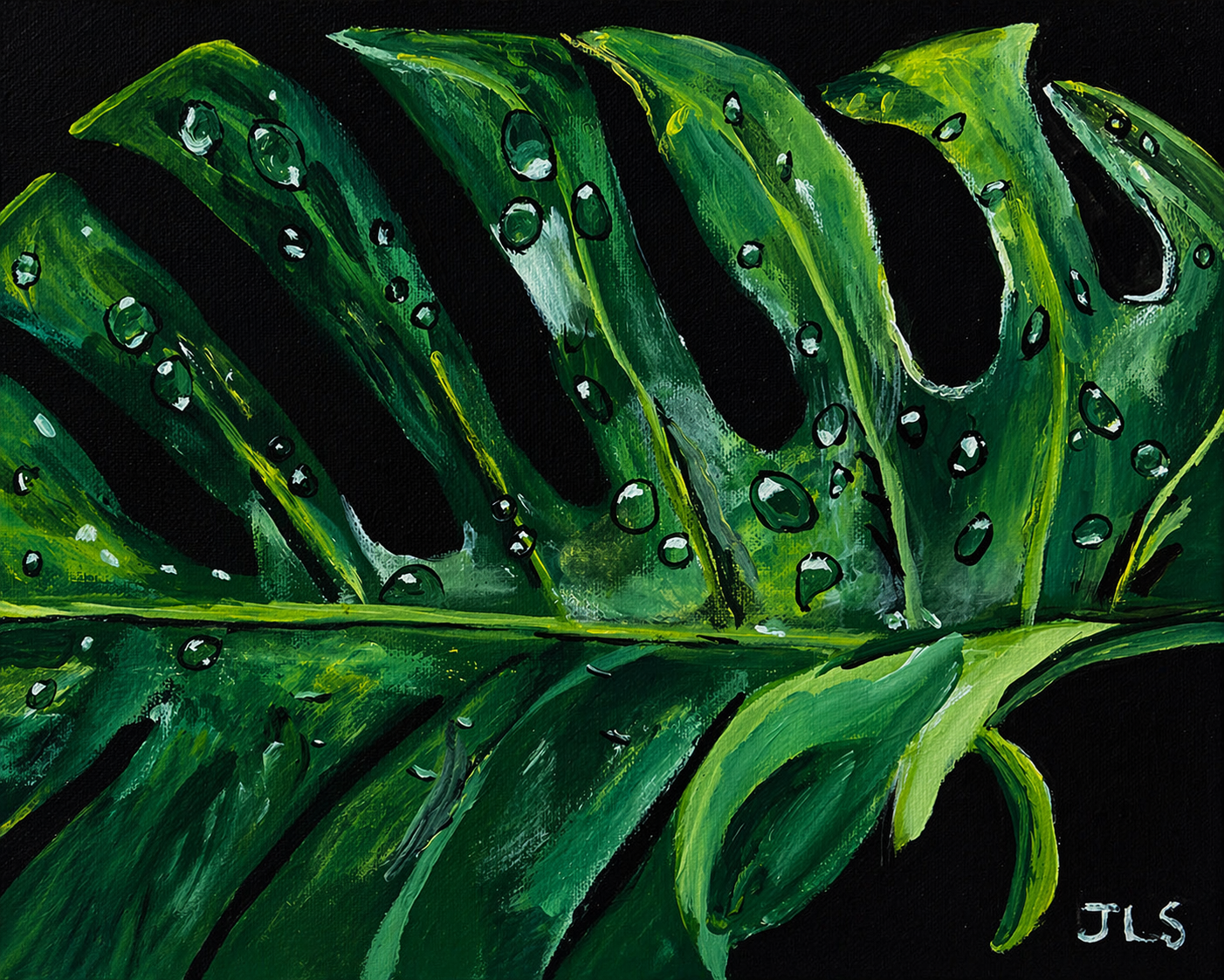 Green tropical leaf with water droplets against a dark background