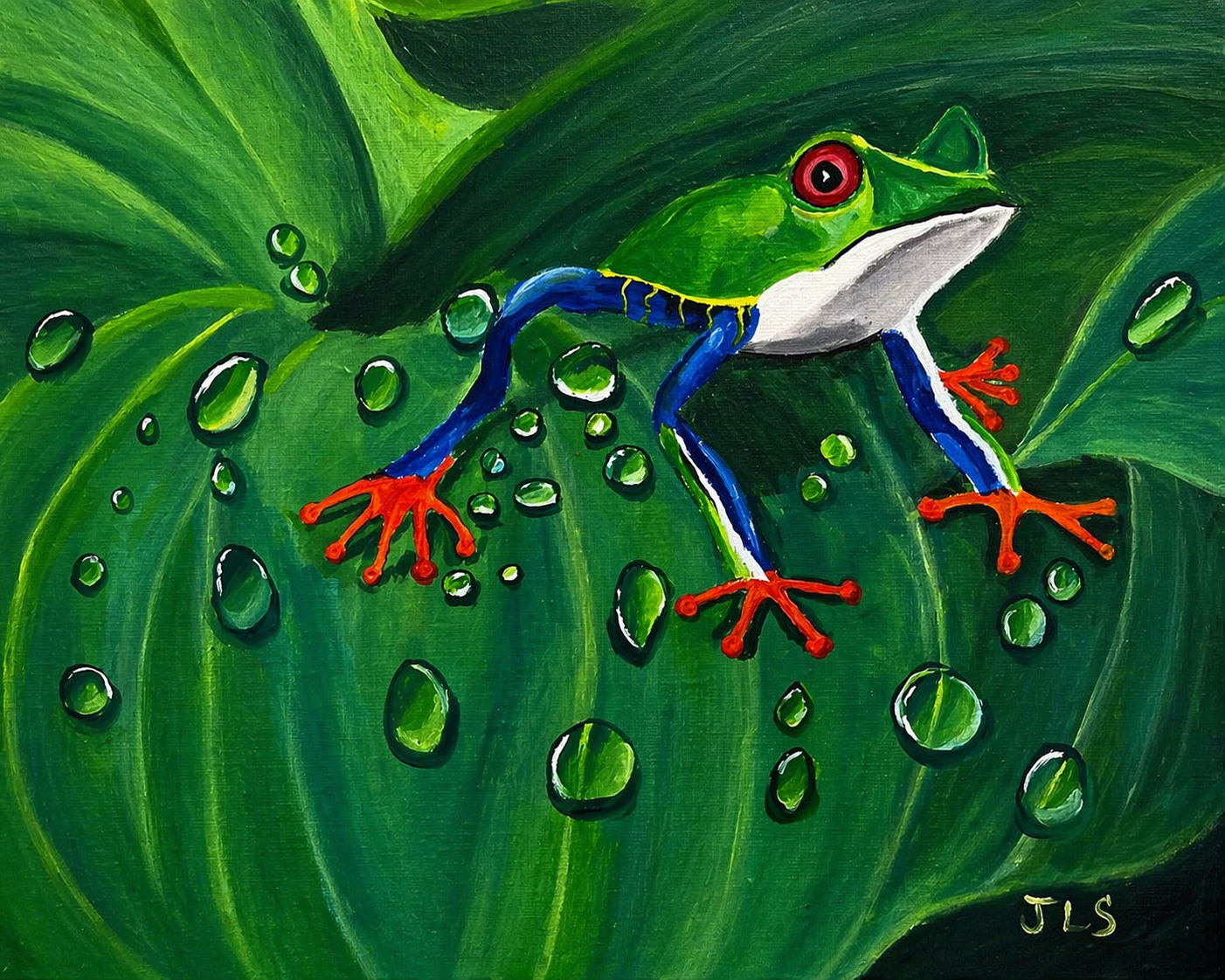 Green leaf with water droplets and a tree frog with bright blue legs and orange feet
