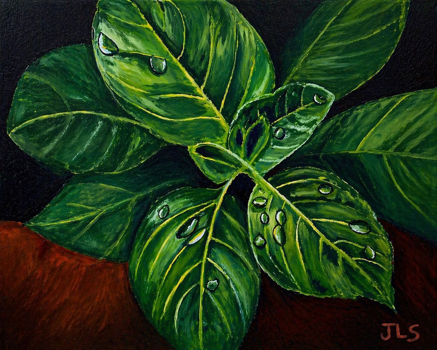 Fine Art Print Green Plant With Dewdrops Matte Finish 8 x 10” Free Shipping