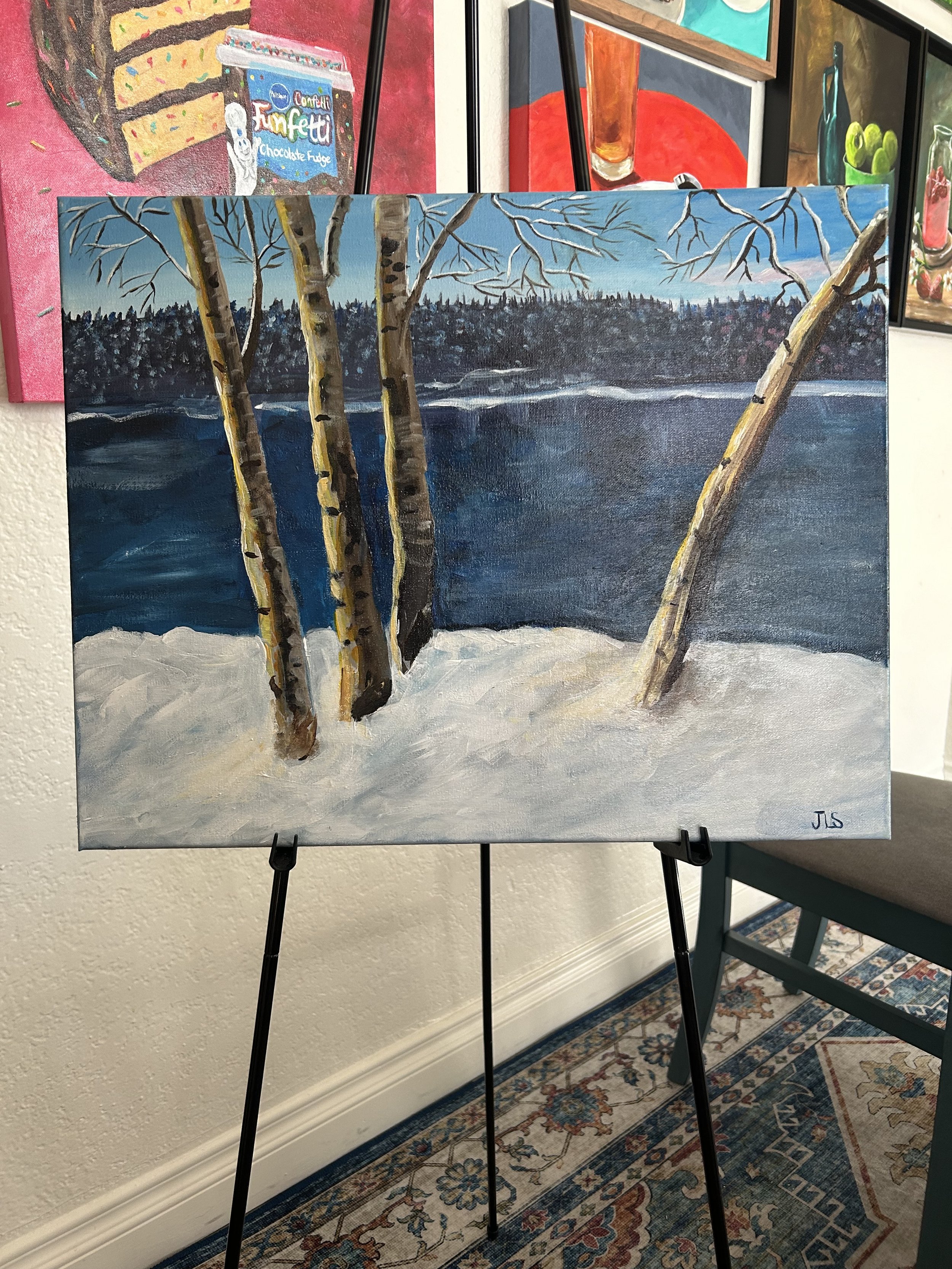 winter snowscape with lake