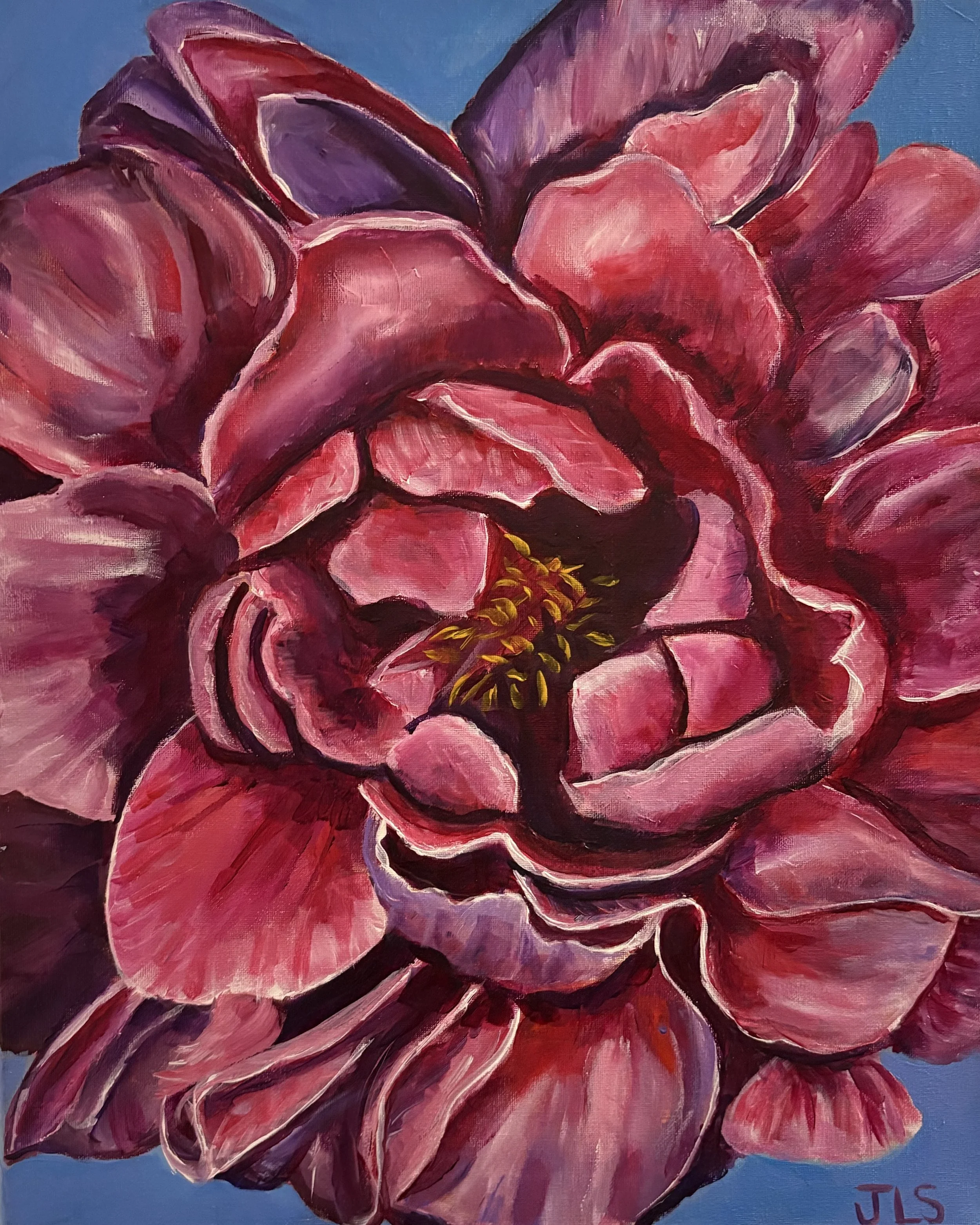 Fine Art Print 16” x 20” Matte finish “Magenta Flower” Free Shipping