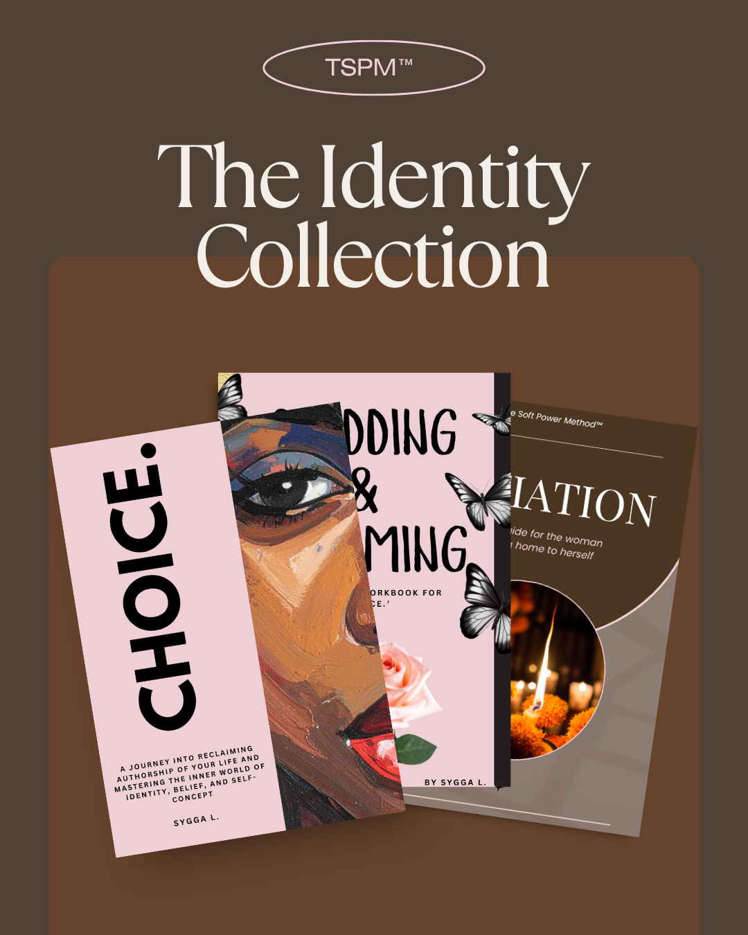 The Identity Collection (Bundle)