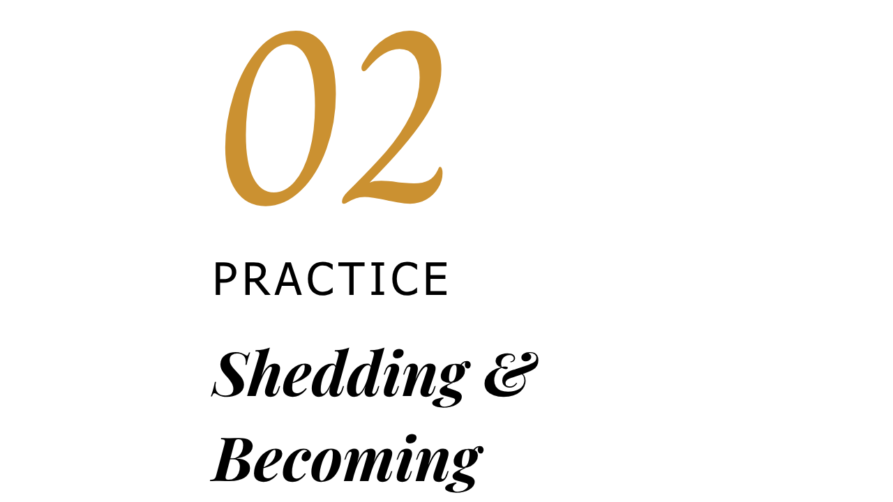 Black background with large gold number 02 and the word 'Coffee' written in cursive below.