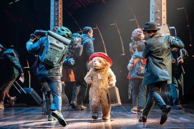 Paddington The Musical - Savoy Theatre: A bear very well taken care of