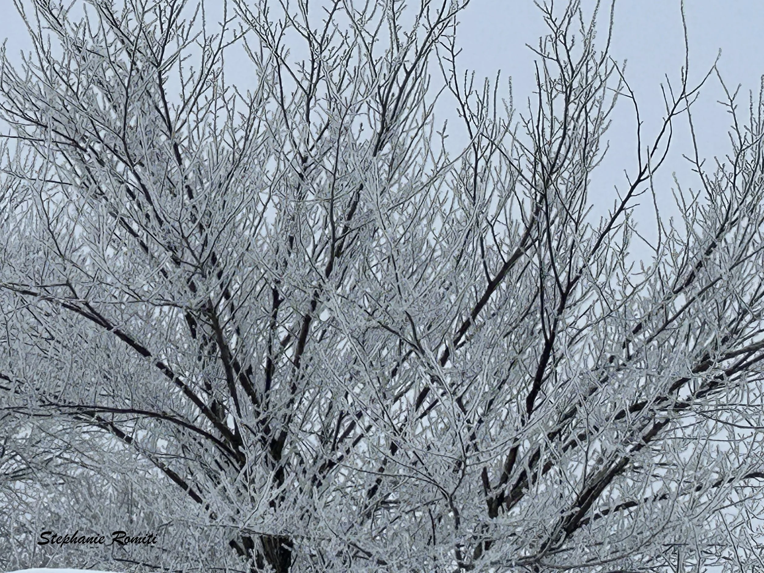 Winter 45.jpeg
