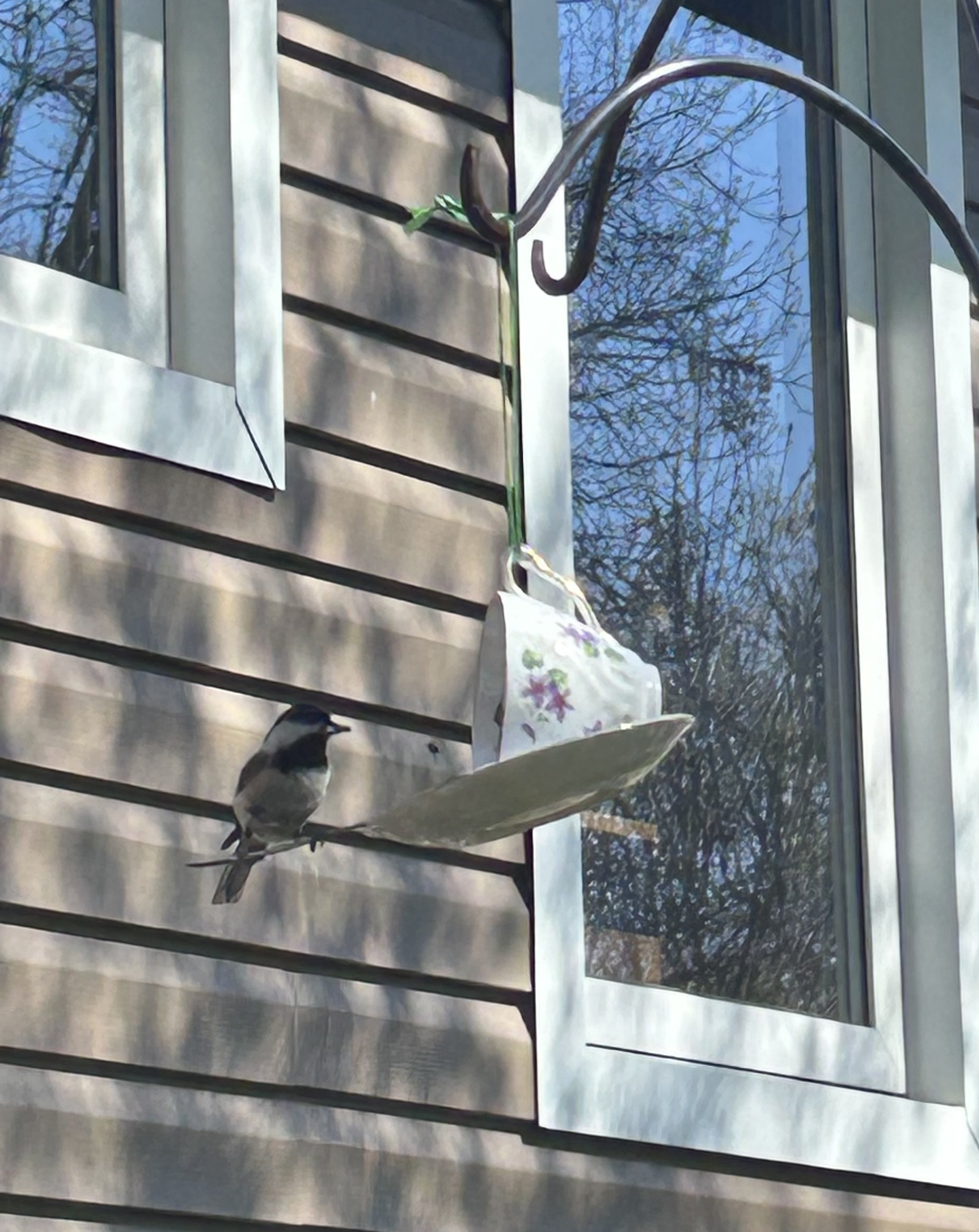 Teacup Bird Feeder