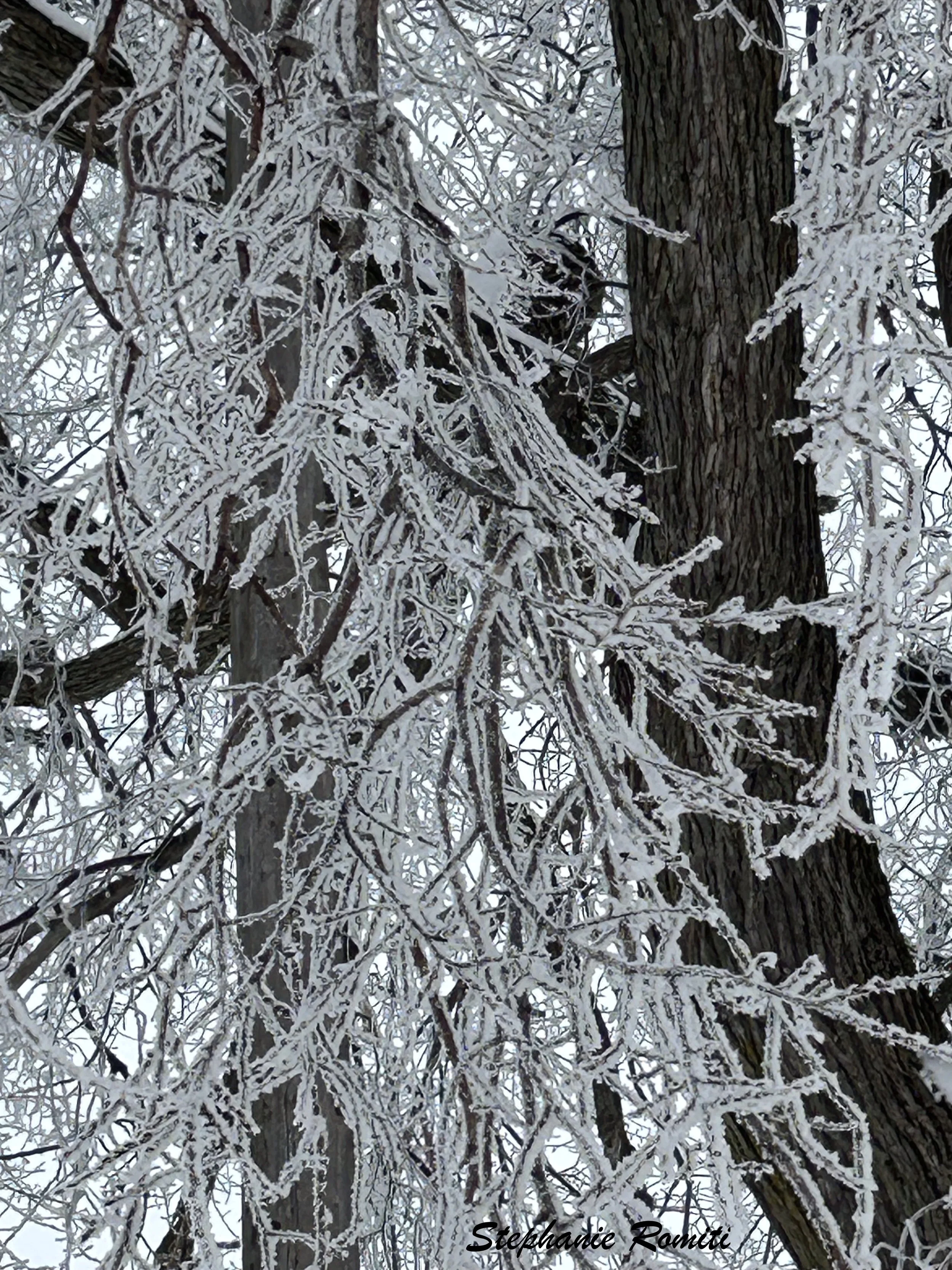 Winter 46.jpeg