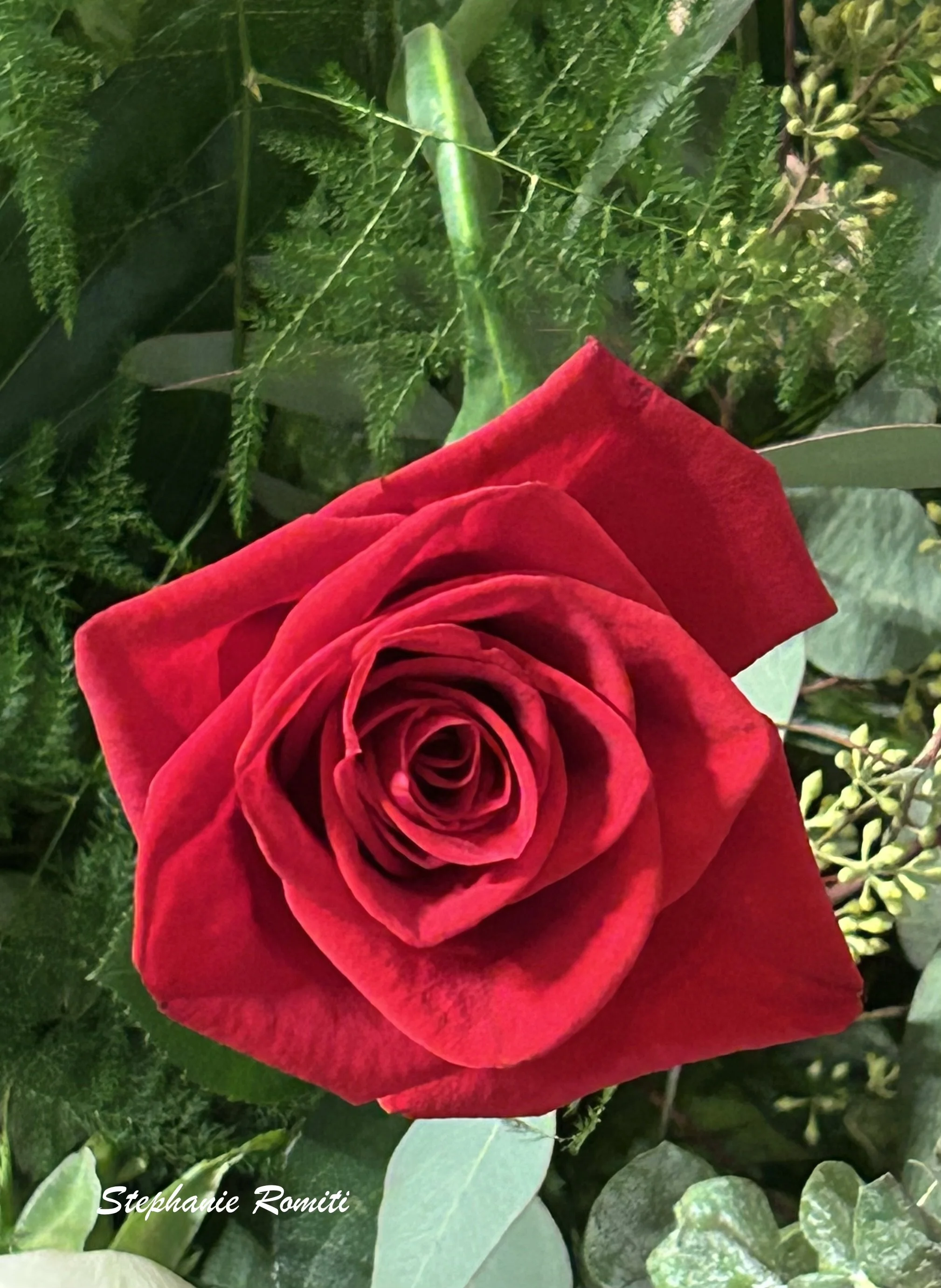 Floral 222.jpeg