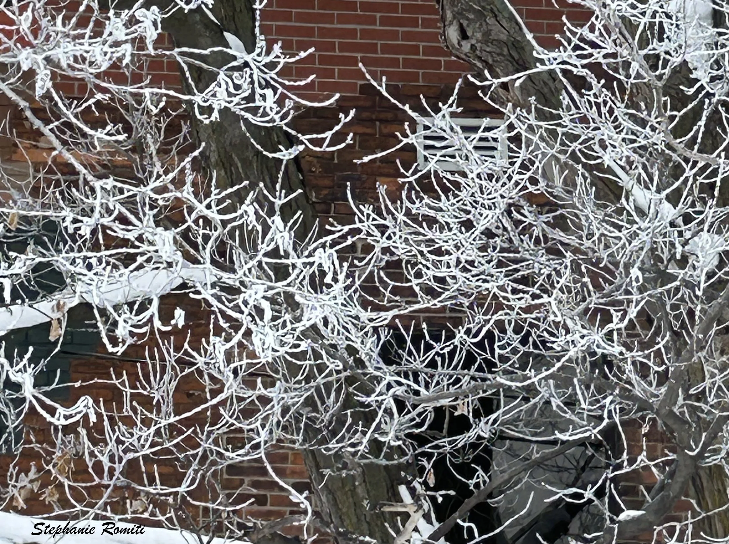 Winter 44.jpeg