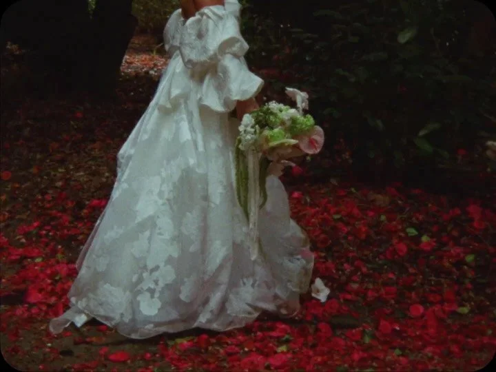 February memories 🥀

#16mm #16mmfilm #16mmwedding #charlestonwedding #southcarolinawedding #weddingfilm #weddingfilmmaker