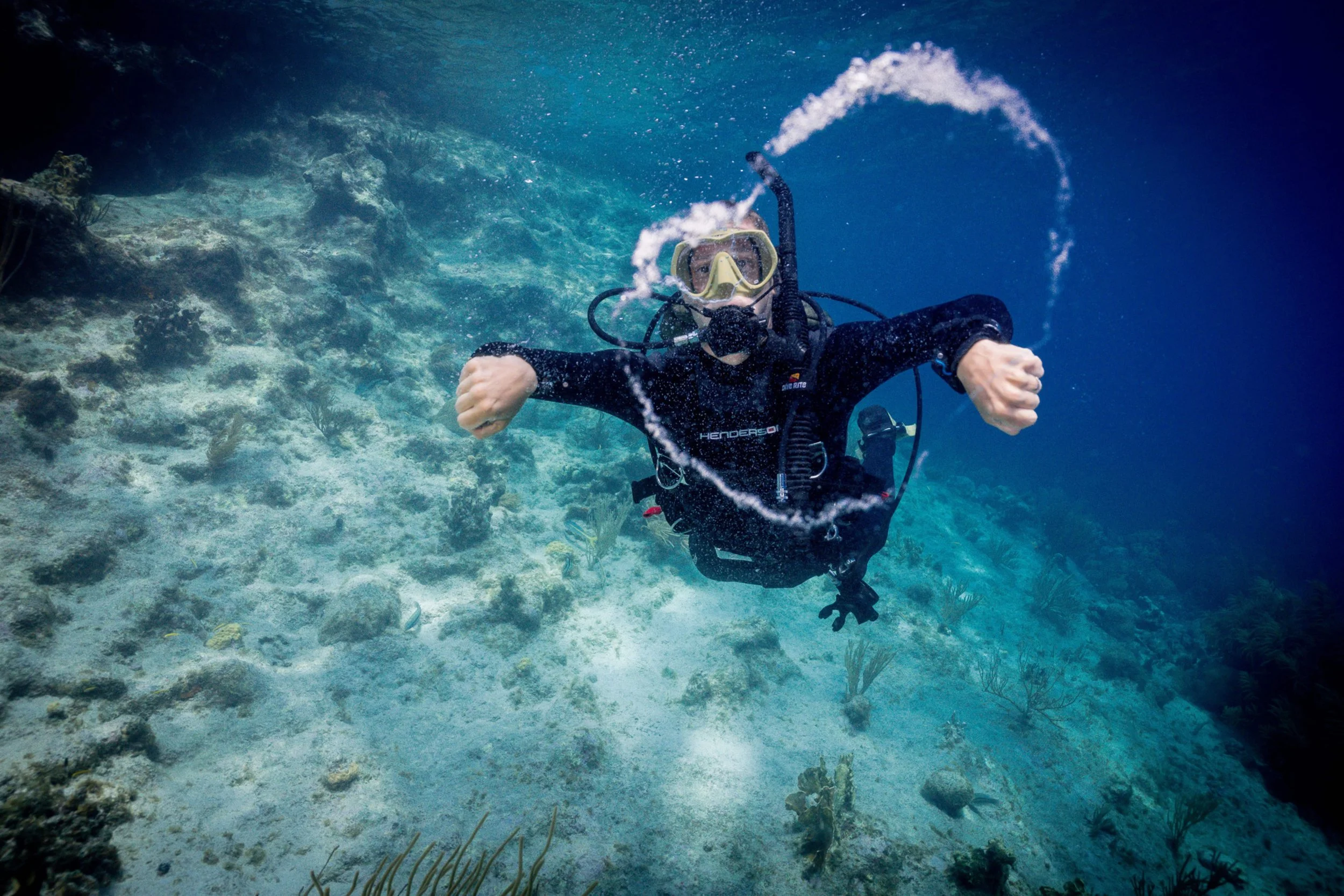 Bonaire_2025_OWSI-809.jpeg