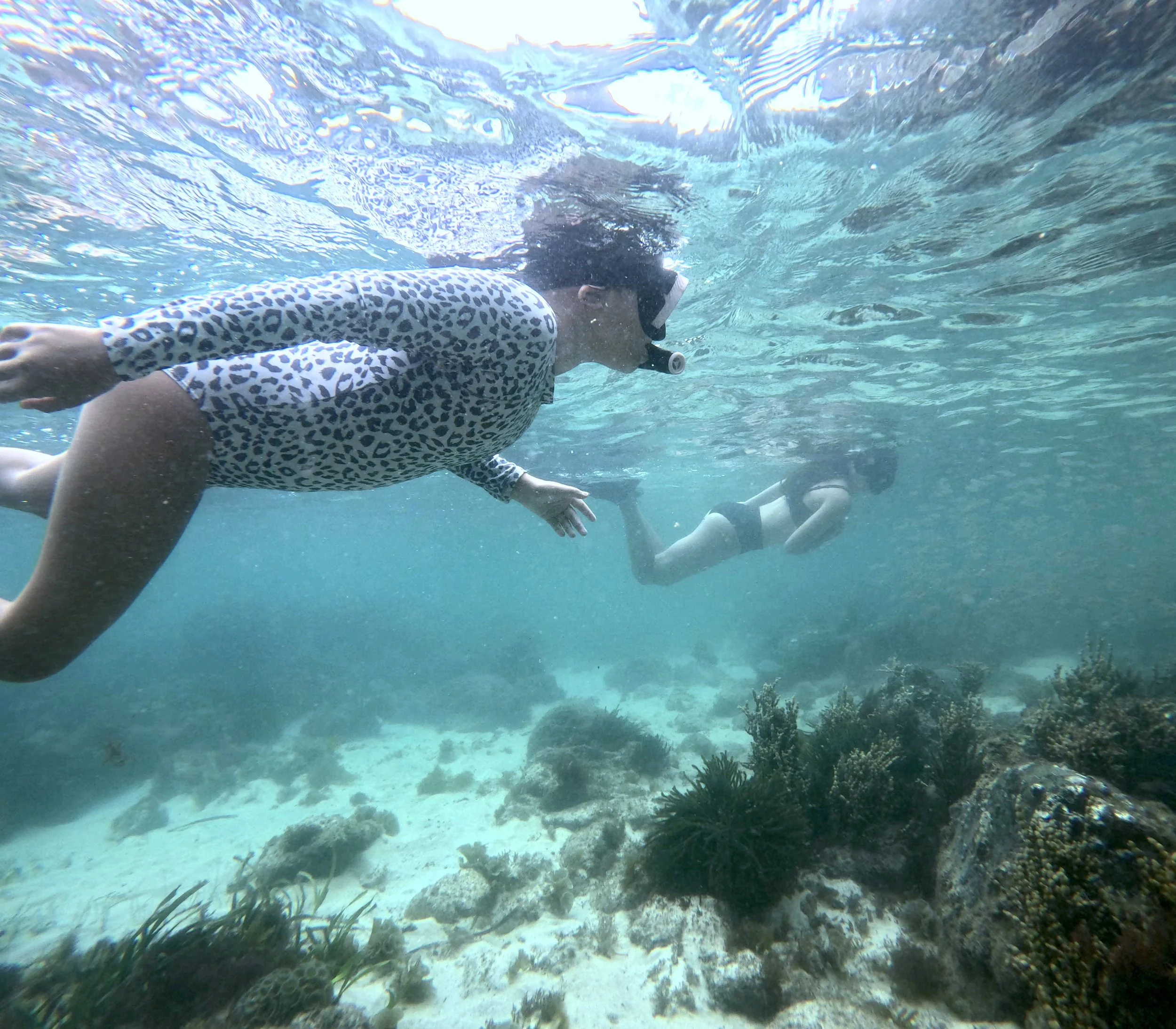 Snorkeling at Fly Point, Nelson Bay NSW