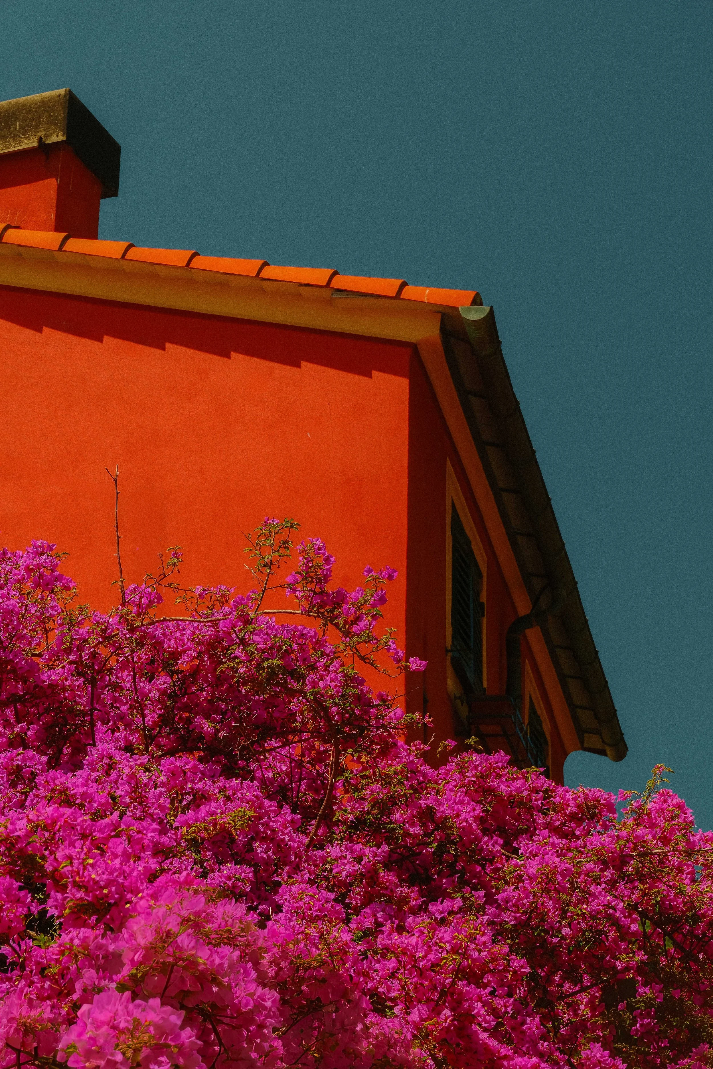 Dreamscapes-Portofino3.jpg