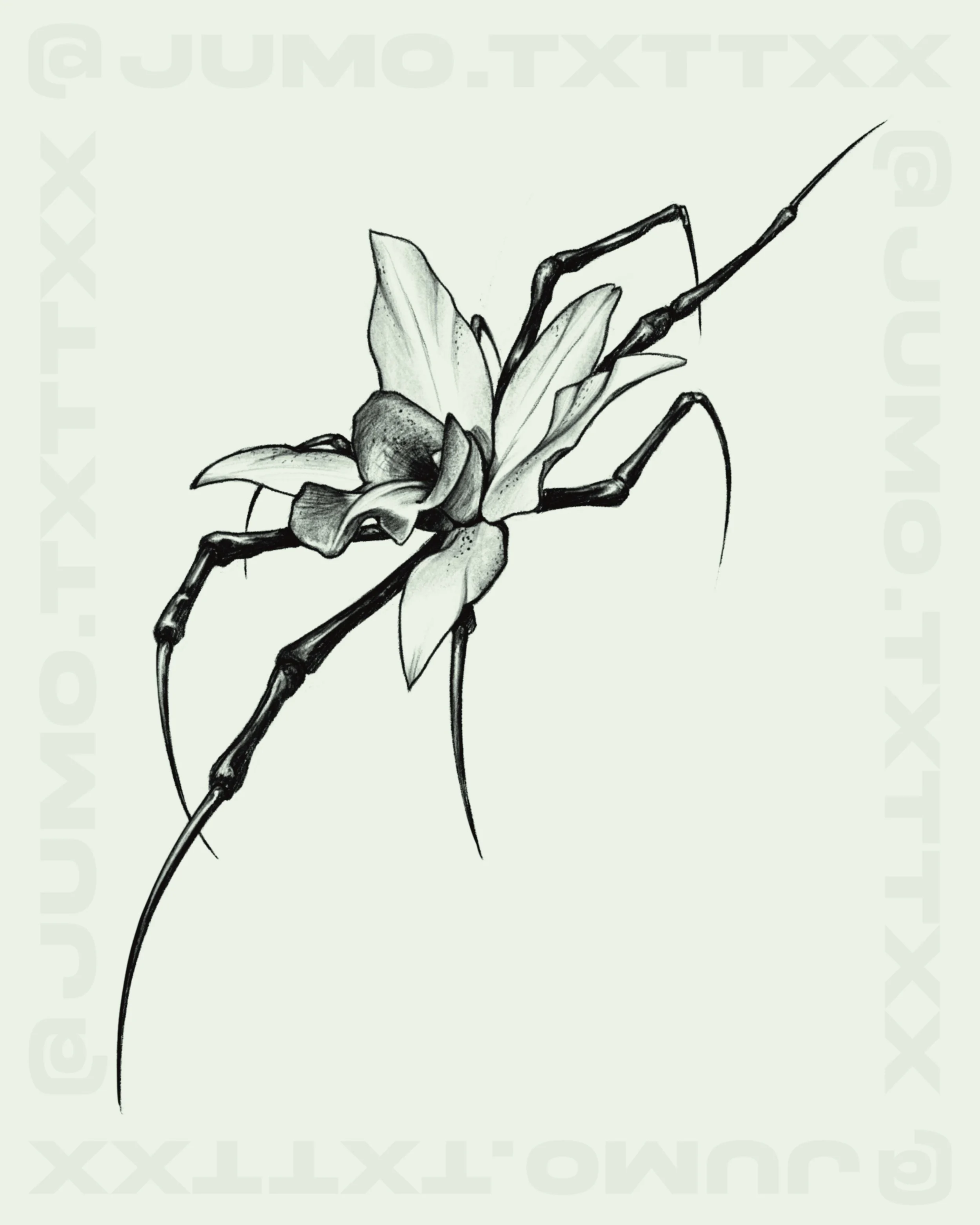 "HIBISCUS x spider" -- 5 inch min. -- $600
