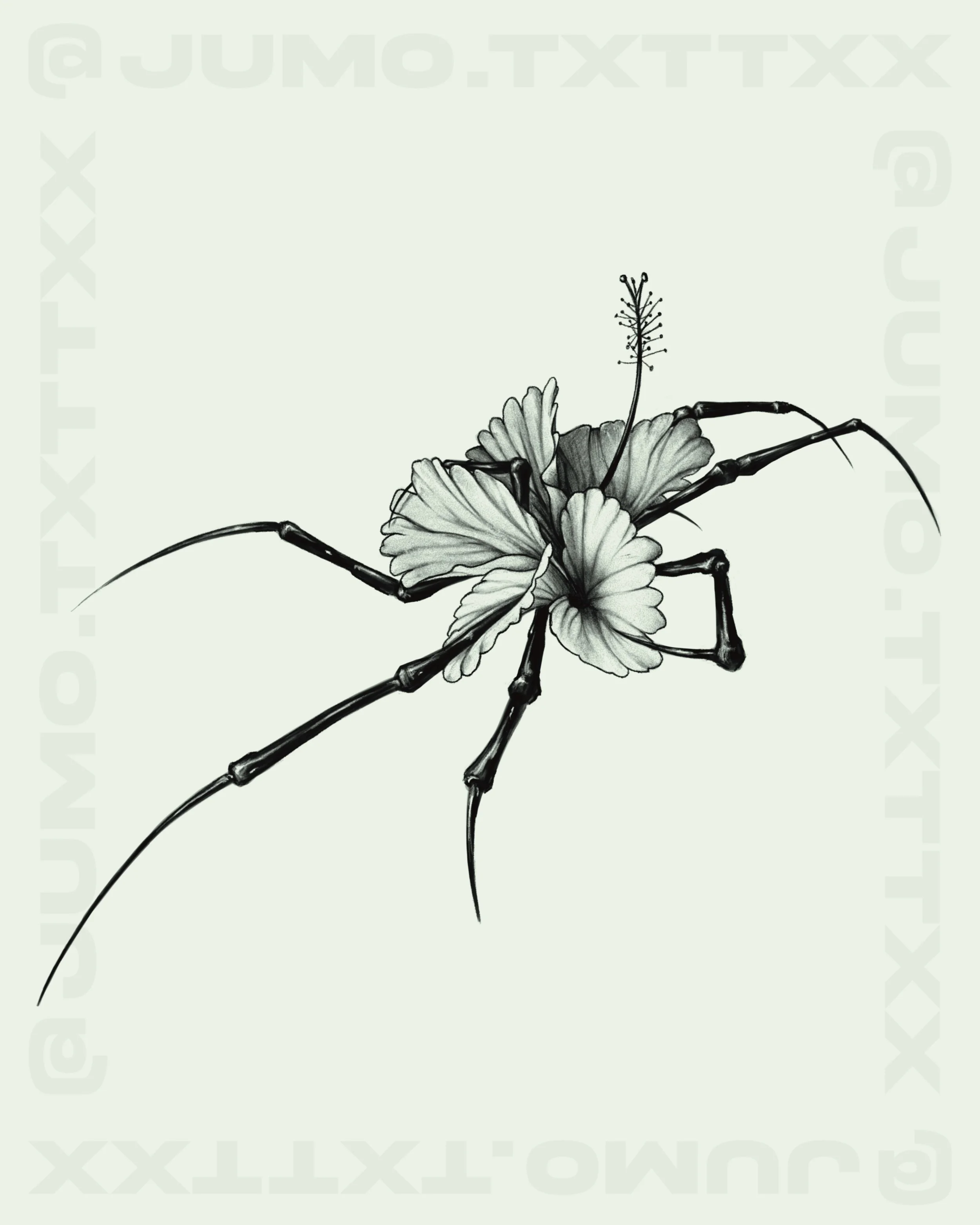 "ORCHID x spider" -- 5 inch min. -- $600