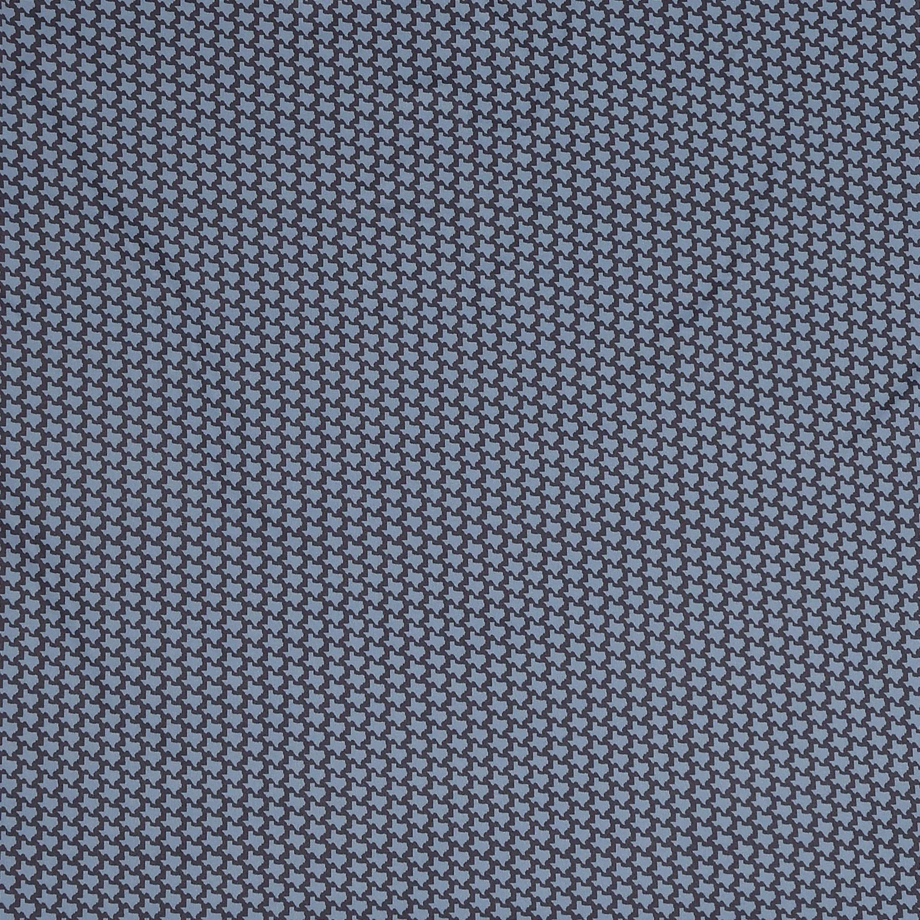 Texas-Texture.jpg