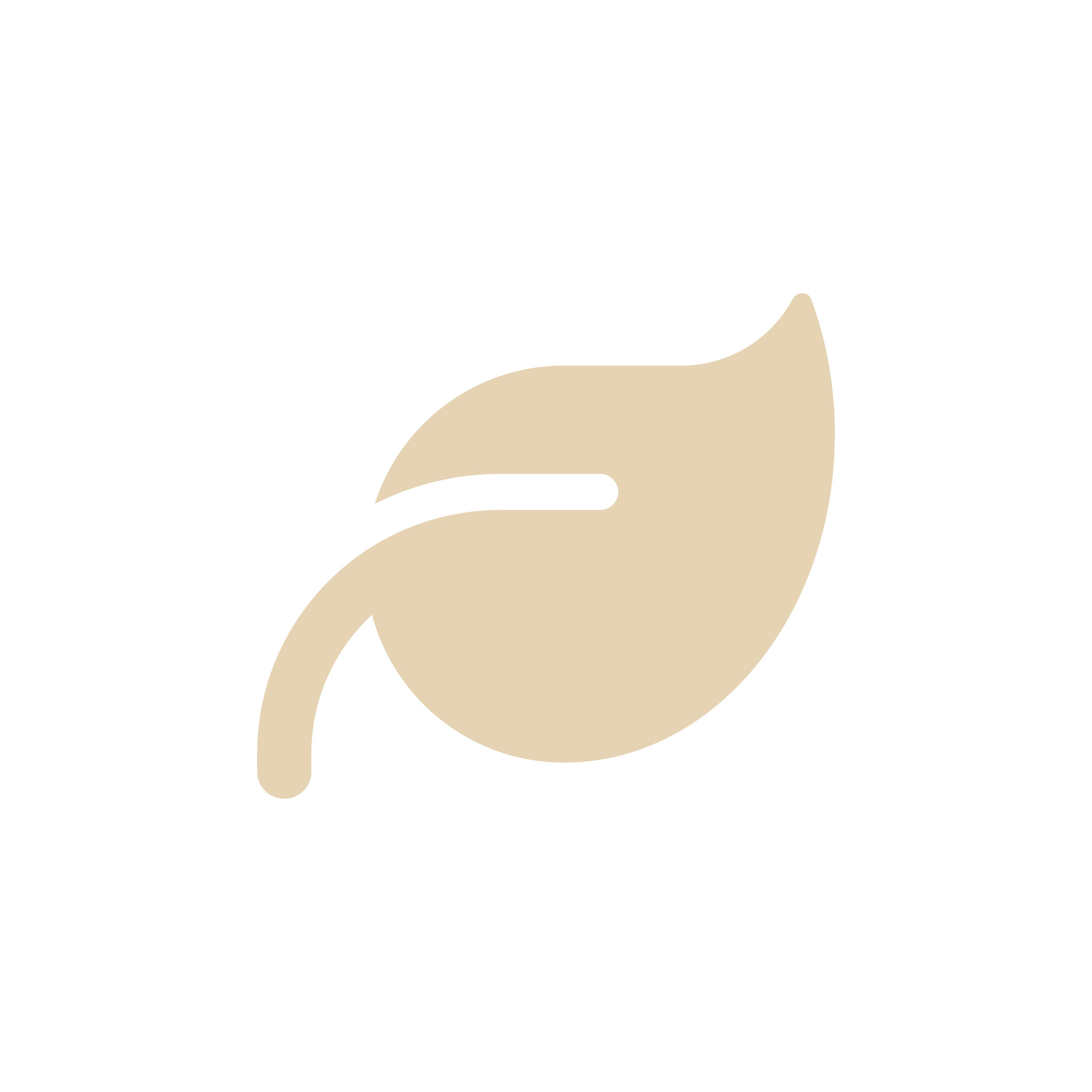 Asset 34.png
