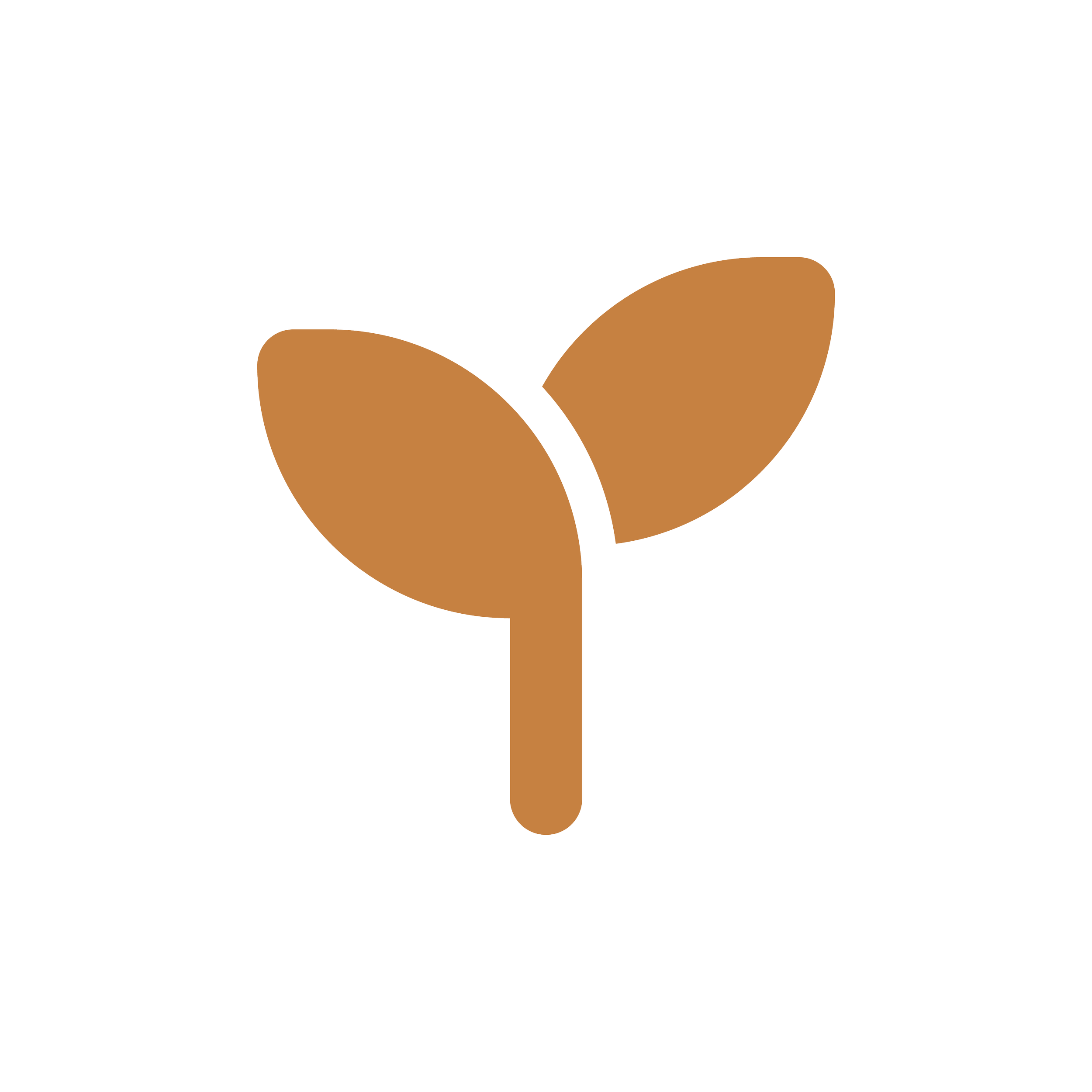 Asset 35.png