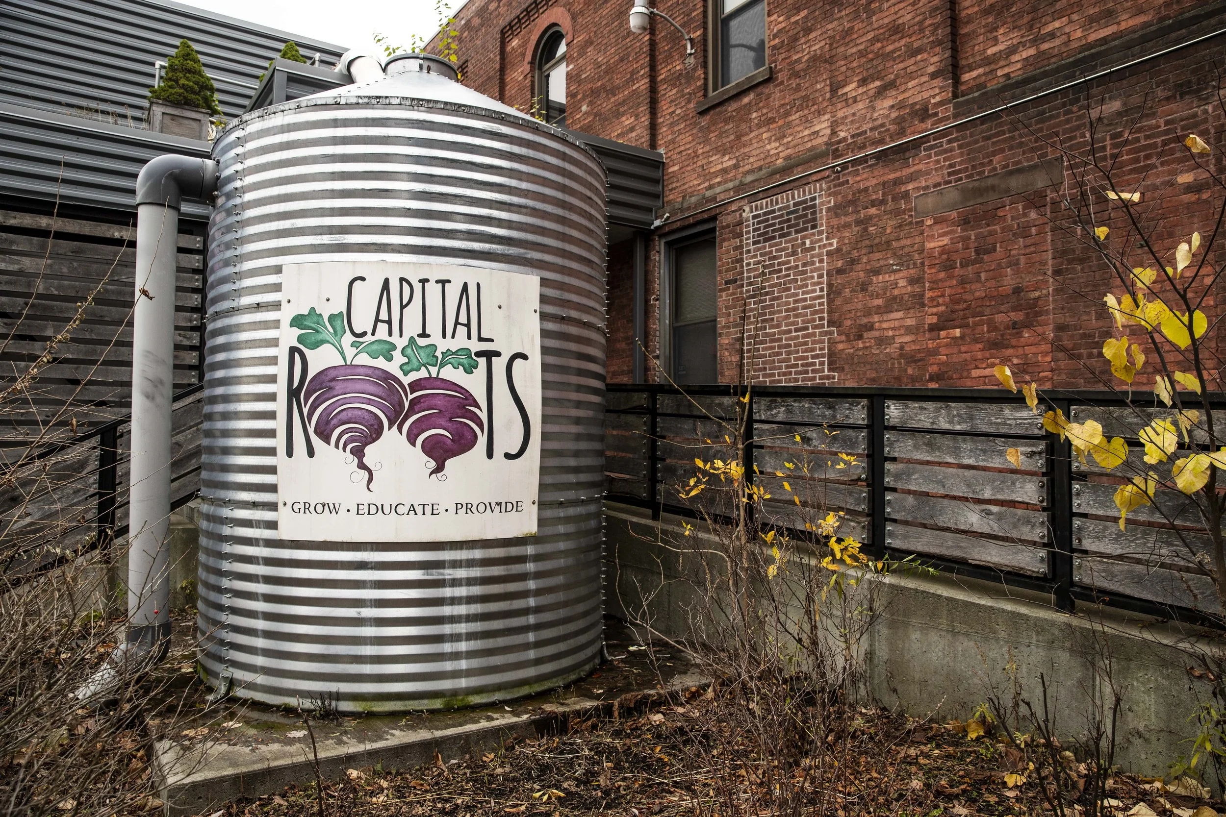 NONPROFIT SPOTLIGHT: Capital Roots — METROLAND NOW