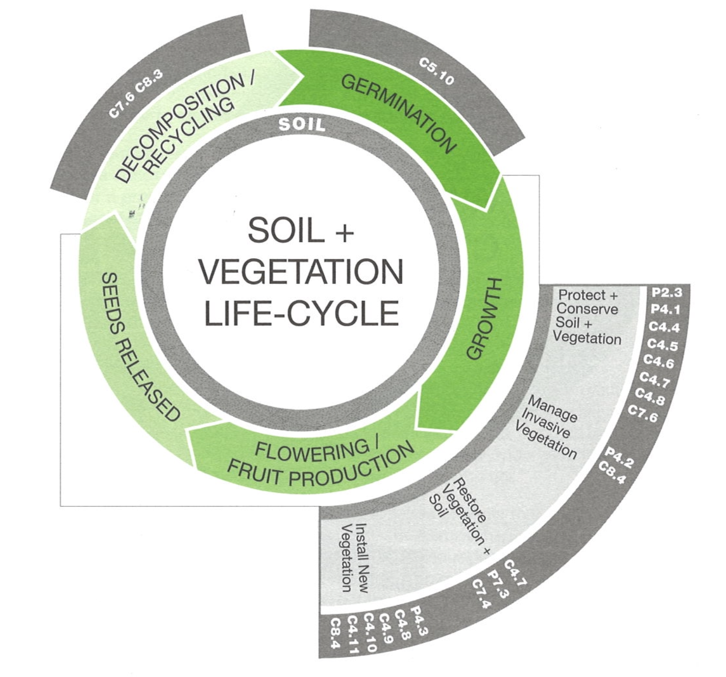 SITES Soil and Vegetation life-cycle, including Germination, Growth, Flowering/Fruit, Seed Release, Decomposition