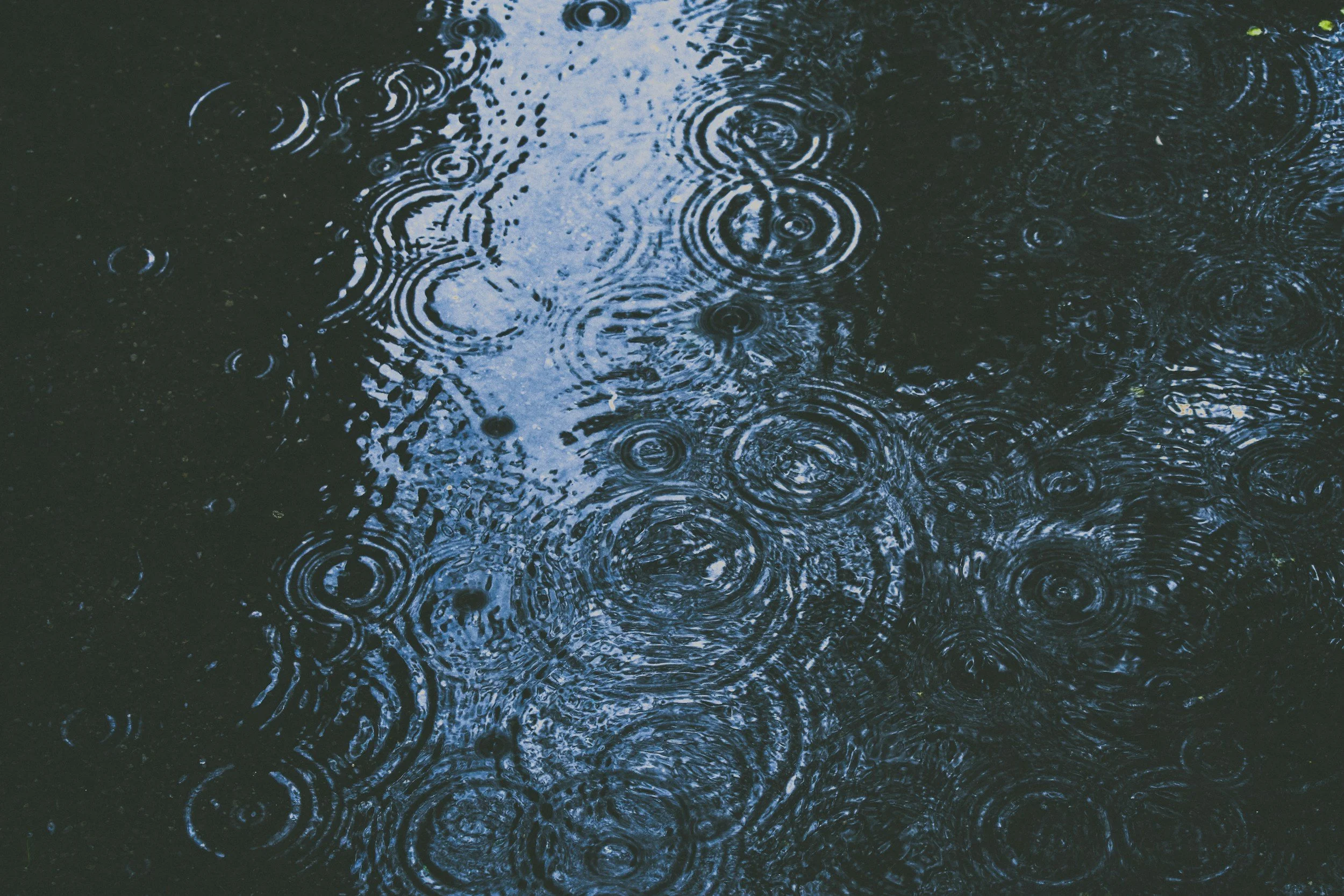 Puddle on road with rain drops rippling across
