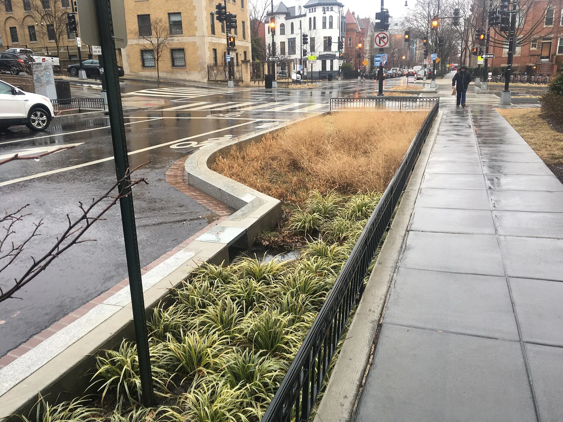 bioswale on city street/sidewalk