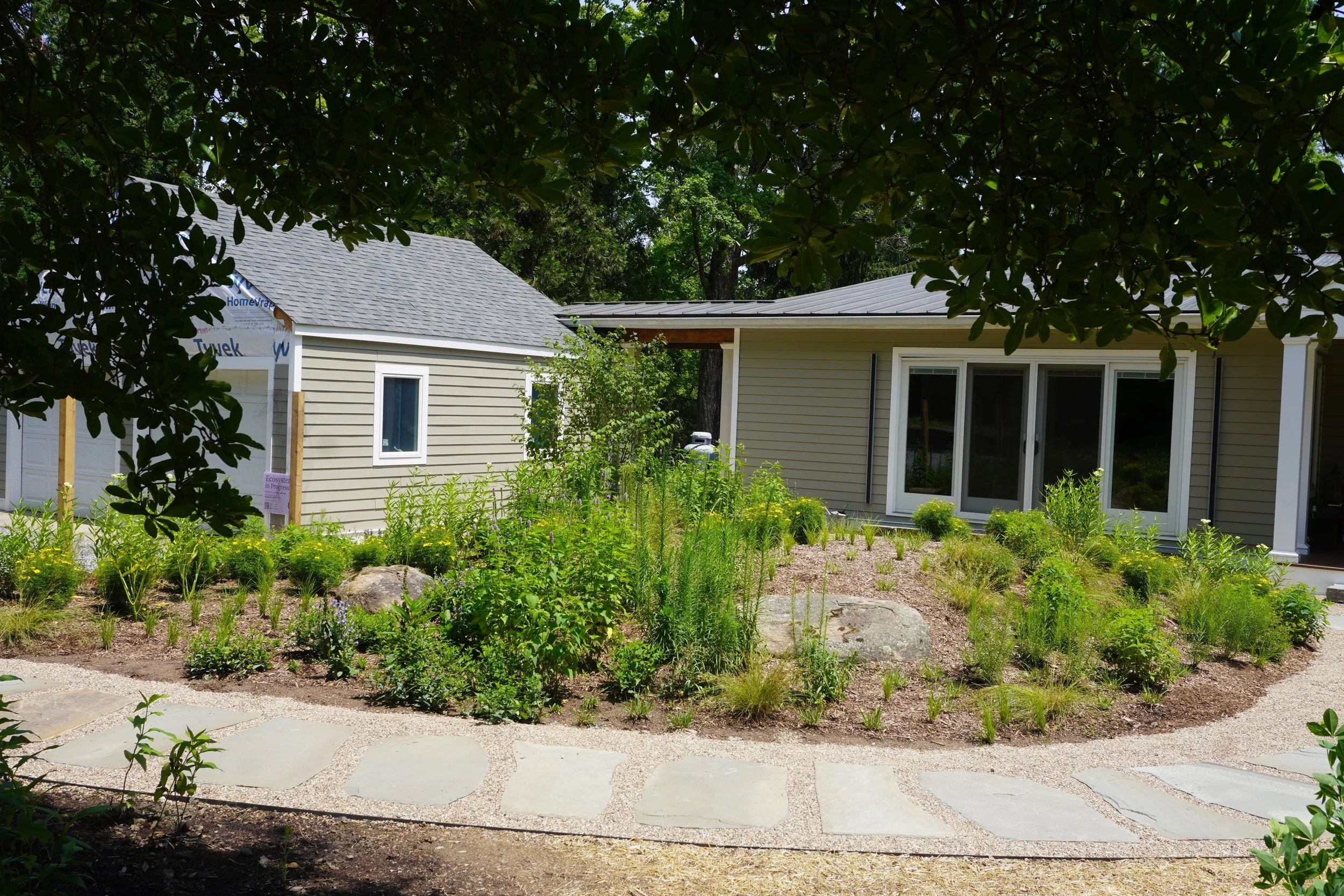 View of native knoll perennial garden in front of house.jpeg
