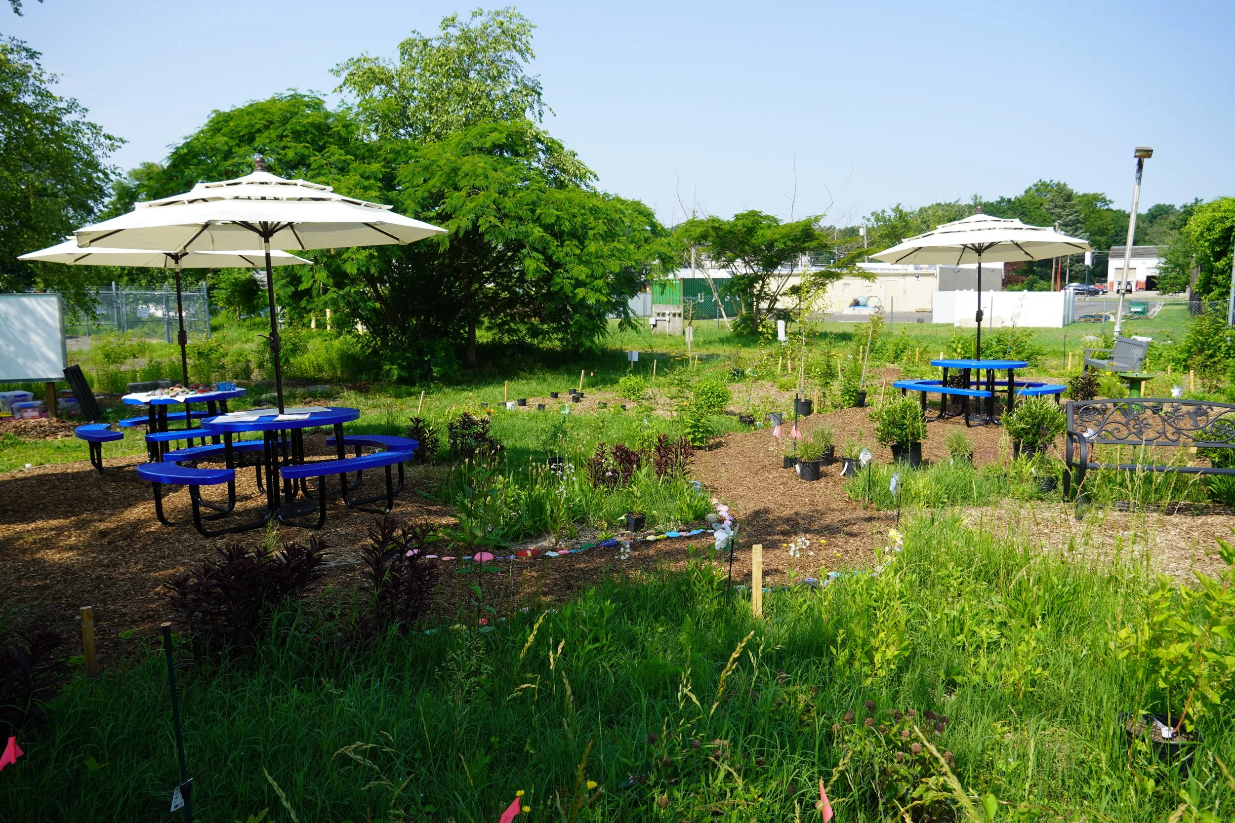School Pollinator Garden