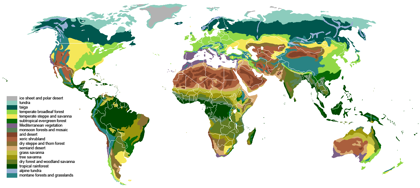 map of the globe with various terrestrial biomes acros every continent