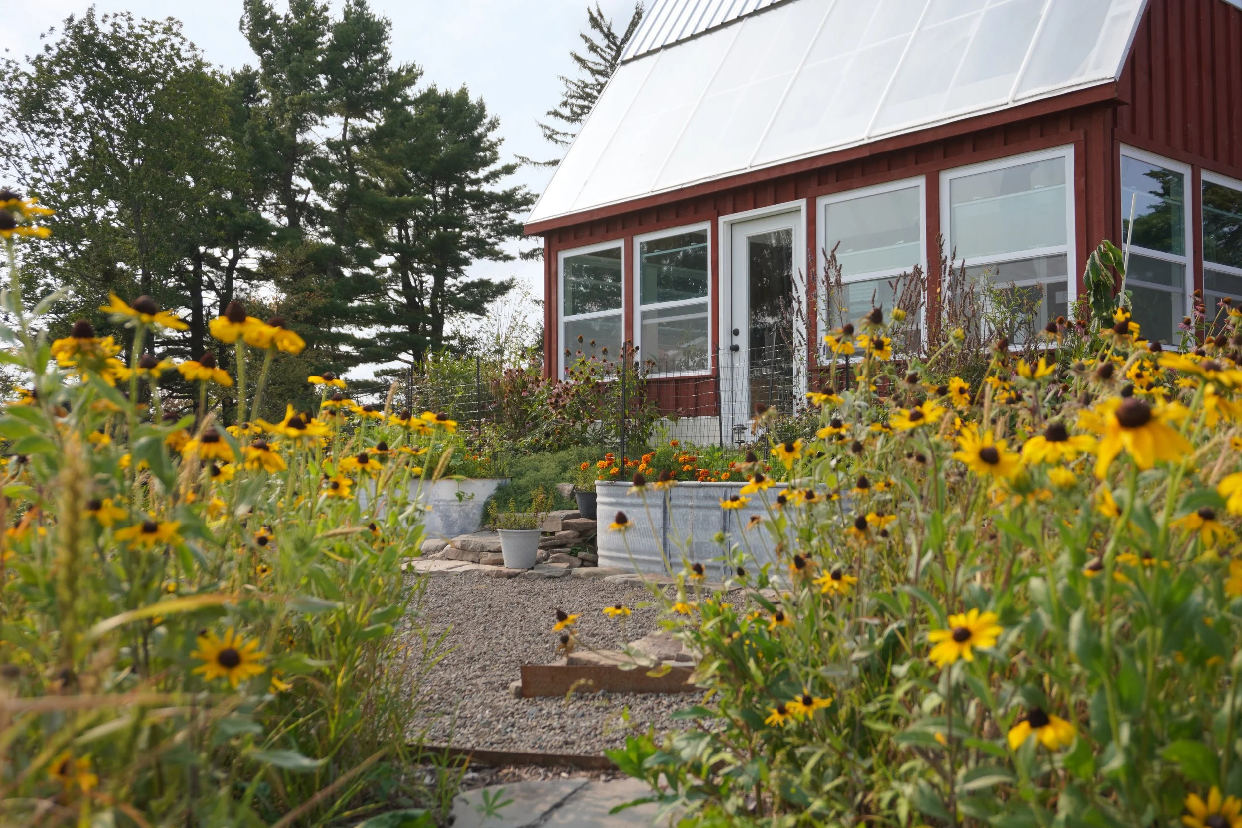 Greenhouse Sustainable Landscape Architecture.jpg