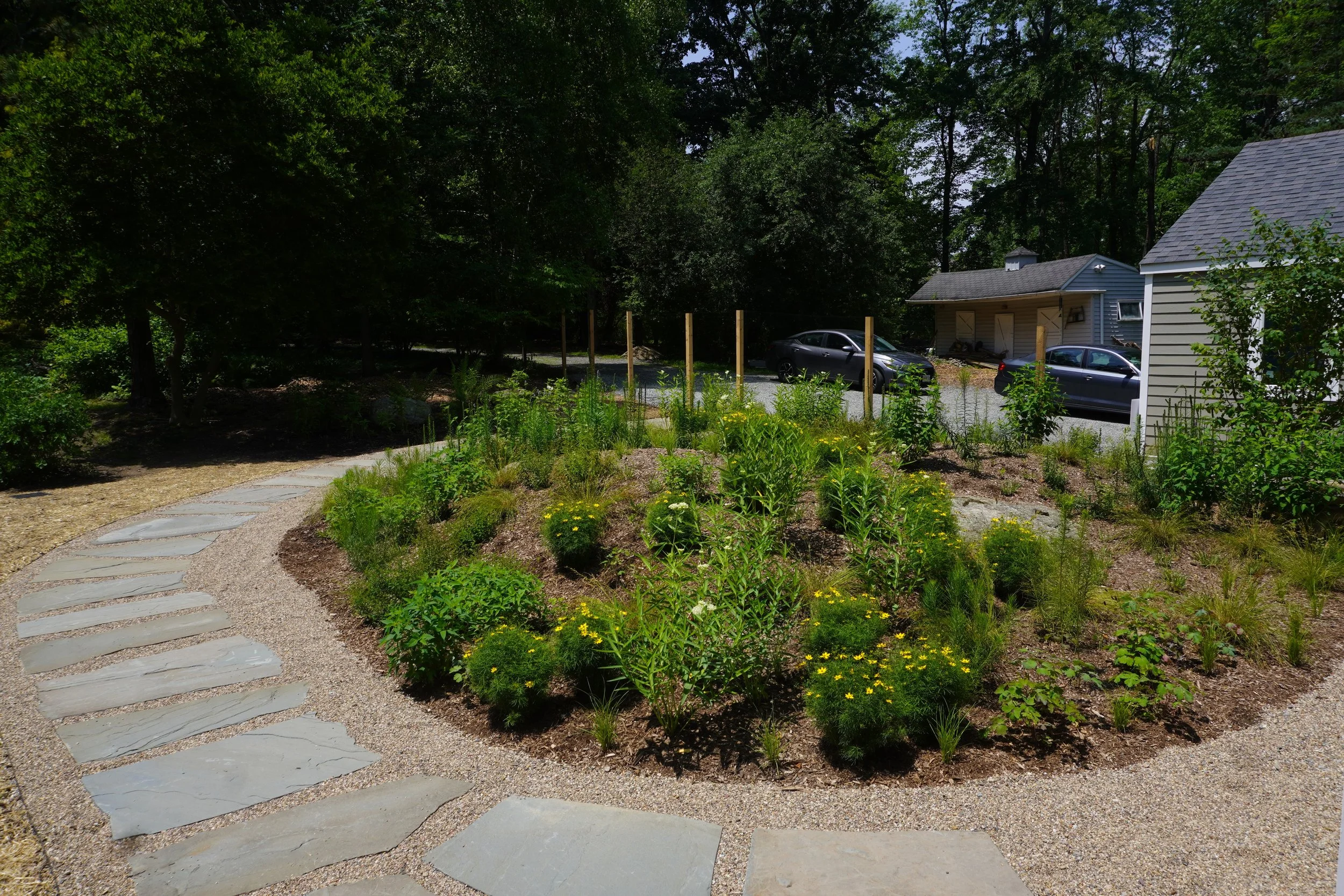 Native knoll with local stone and gravel including blooming perennials.jpeg