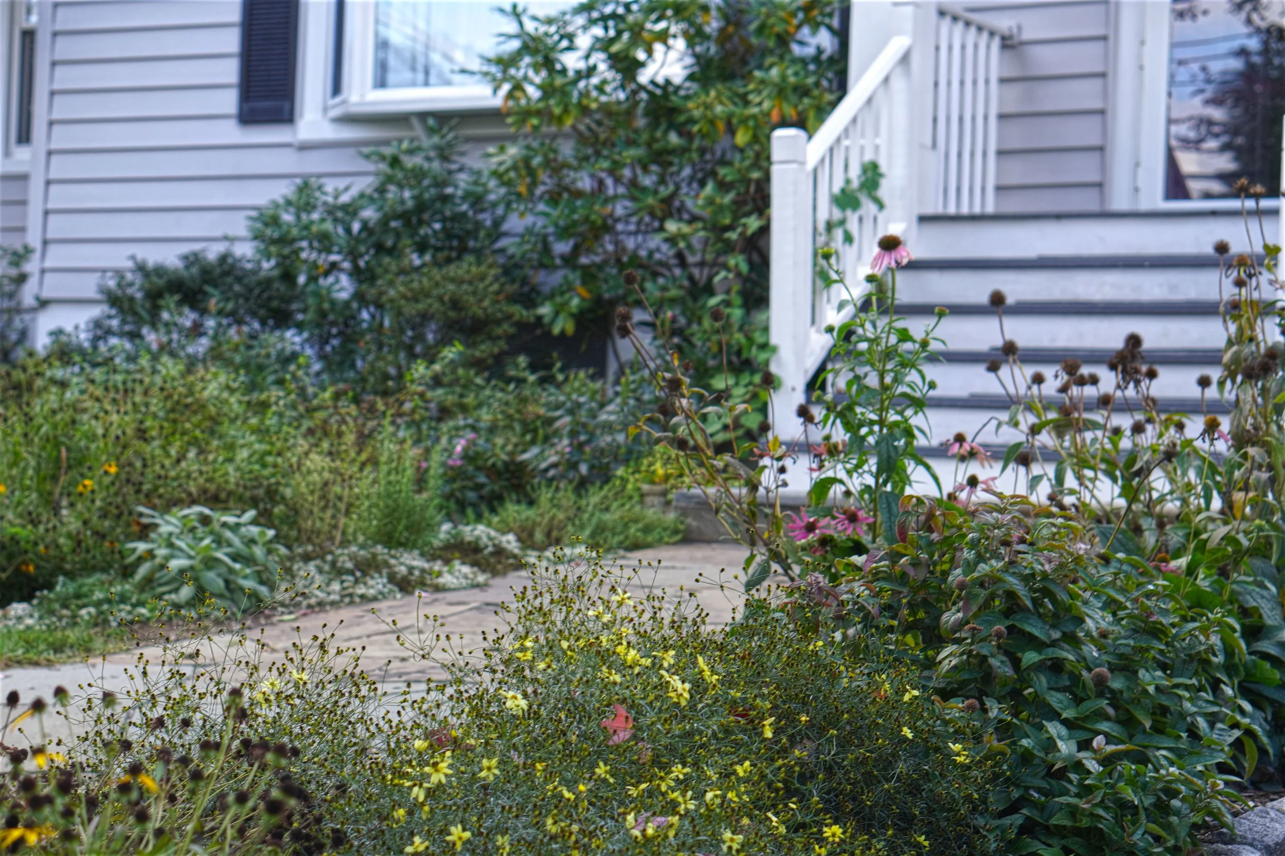 Front Walkway.jpg
