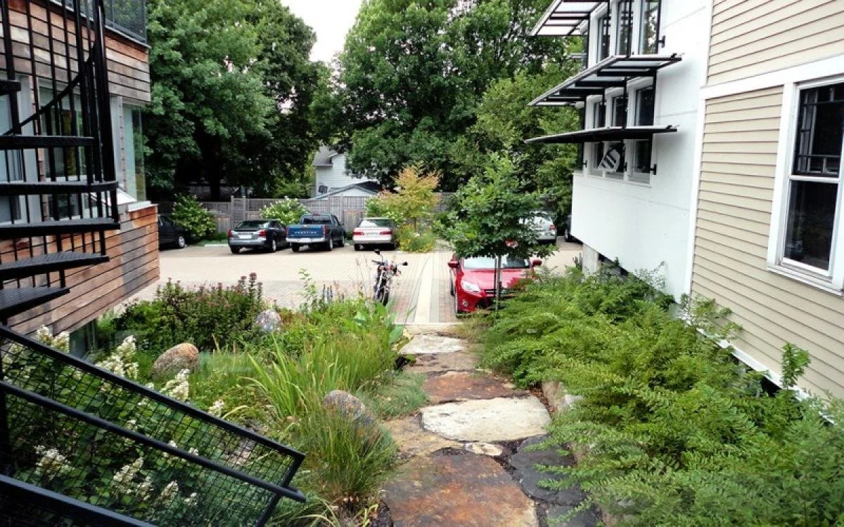 SWT Design Campus view of parking with alley of native ferns and grasses with a stone path going through