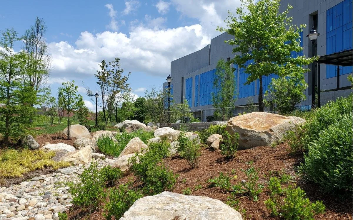 Reclaimed boulders placed around a native planted site of UConn STEM research center