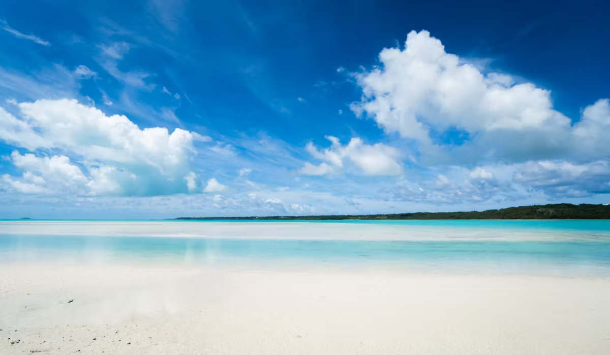 The View from the beachfront.png