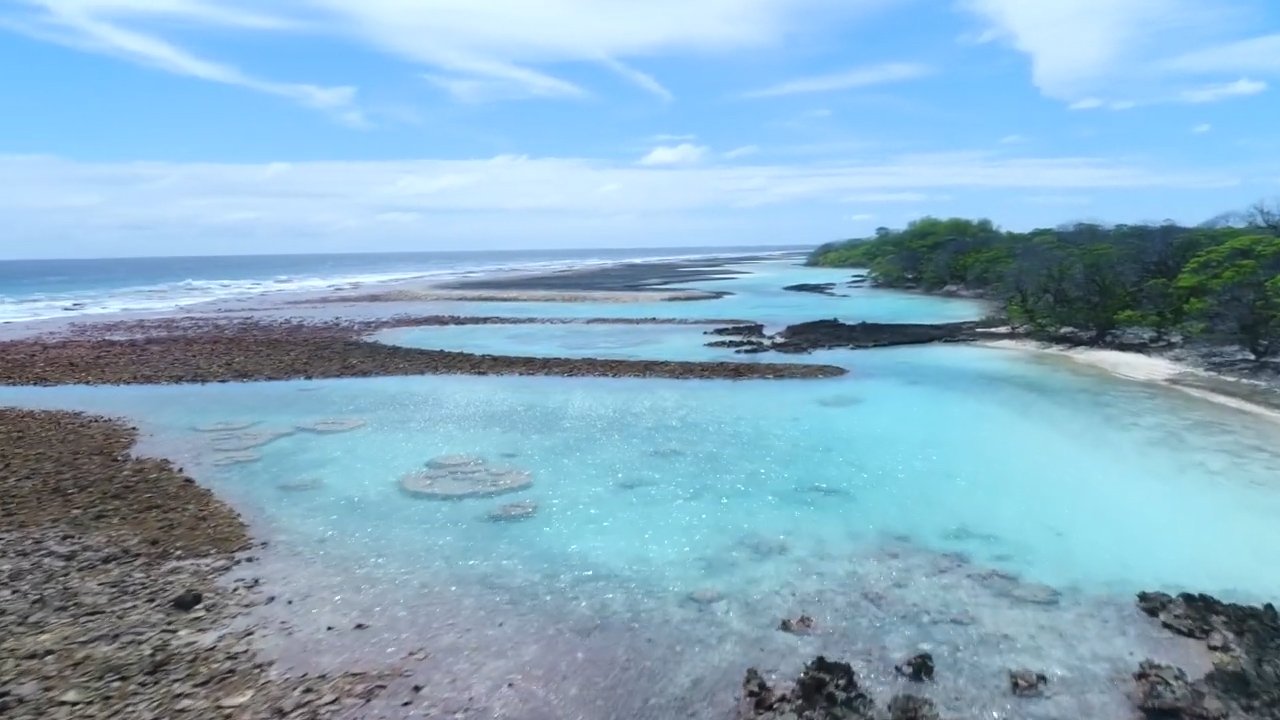 Tidal Lagoon.jpg