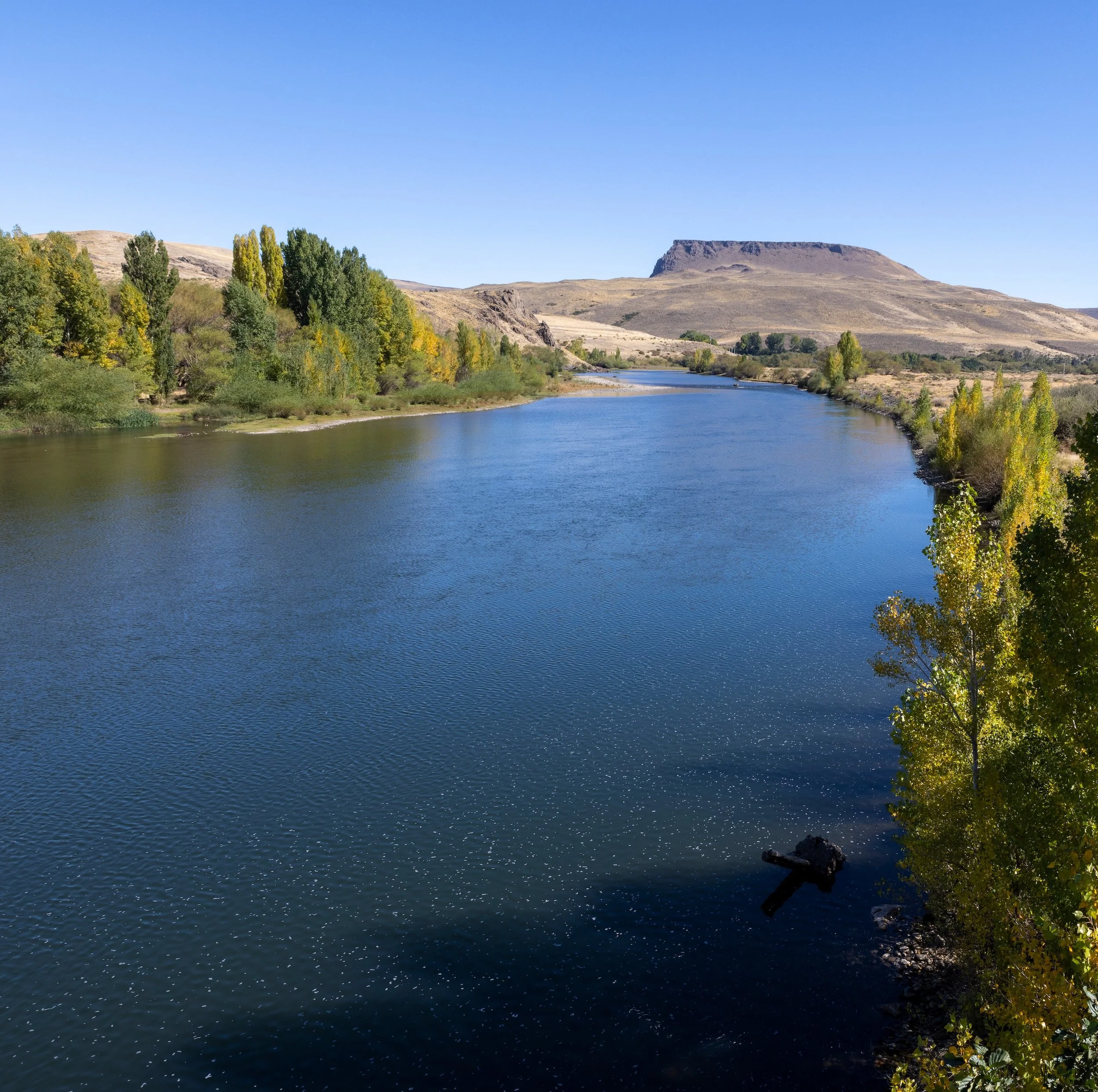 A river flowing through a landscape with trees on the riverbank and a flat-topped mountain in the distance under a clear blue sky.