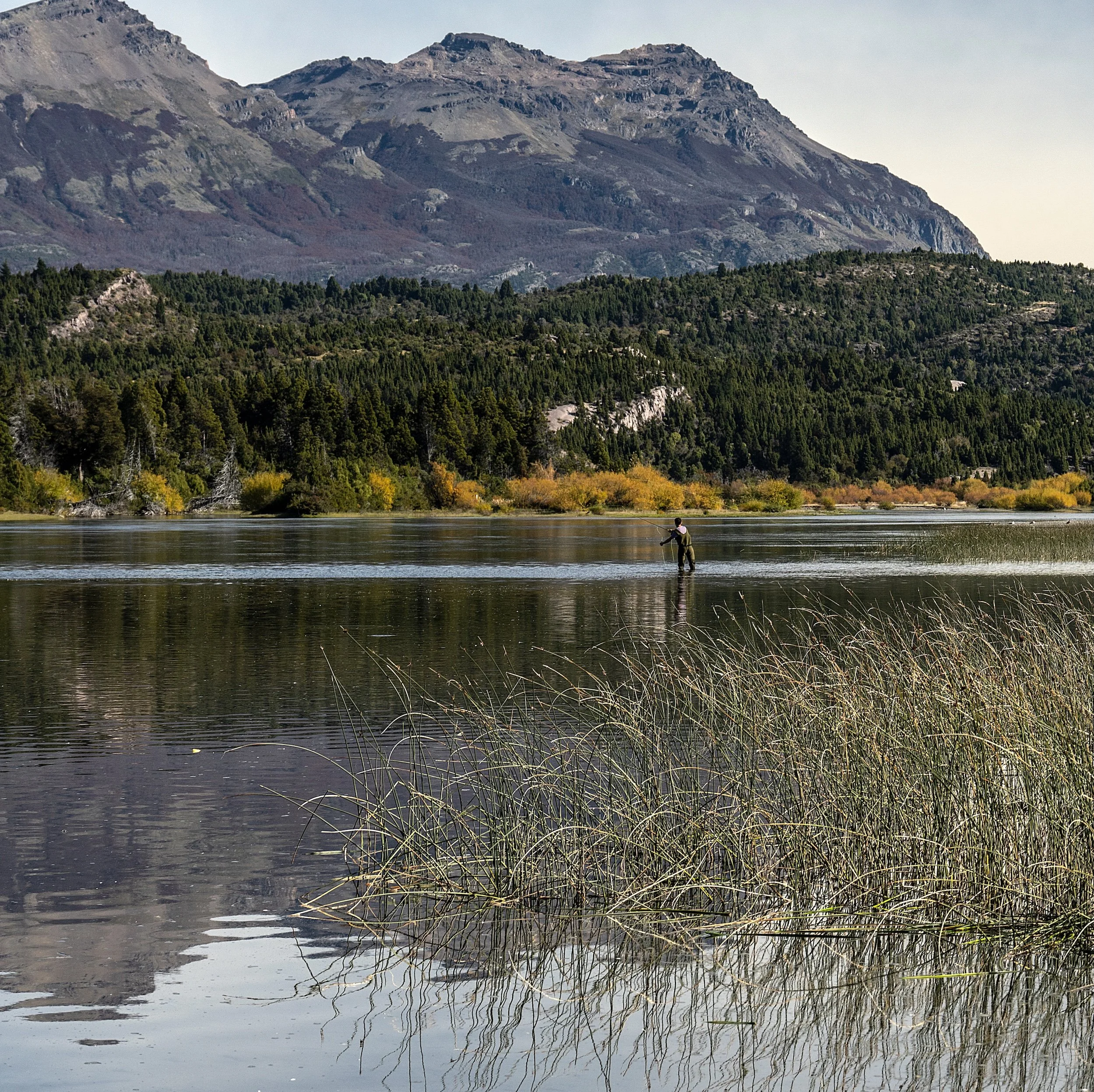 A person fishing in a calm lake with mountains and forests in the background.