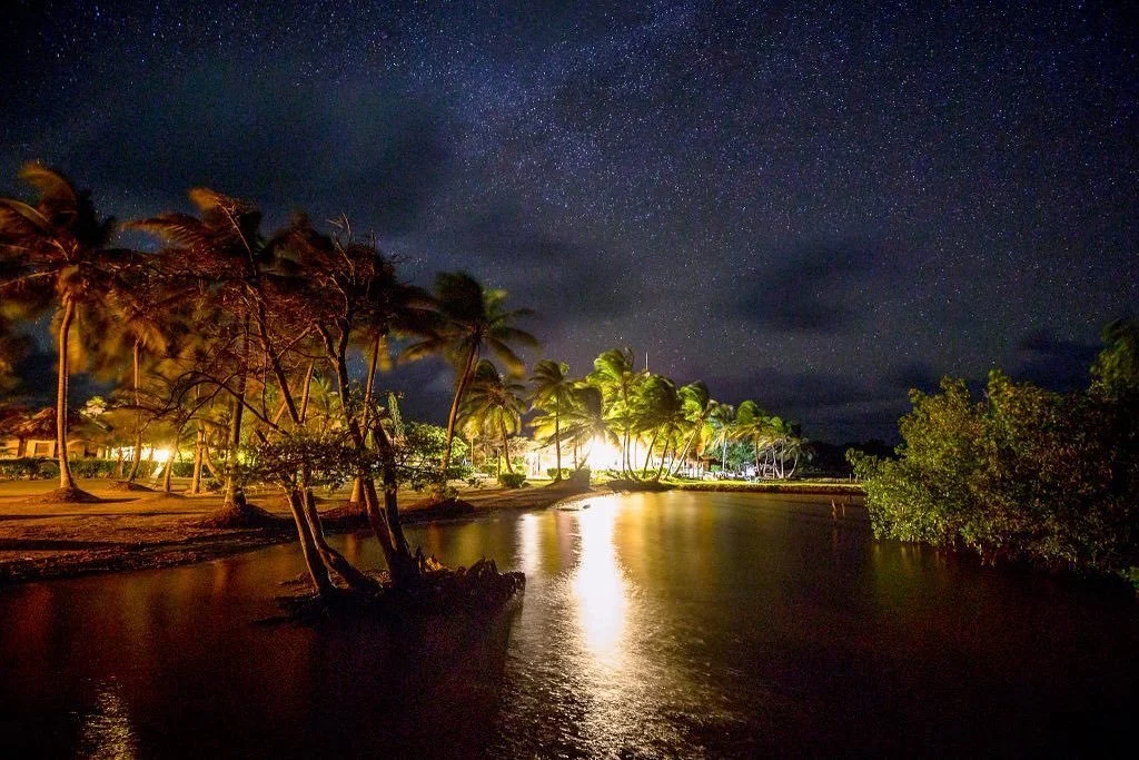 Nightshot.jpg