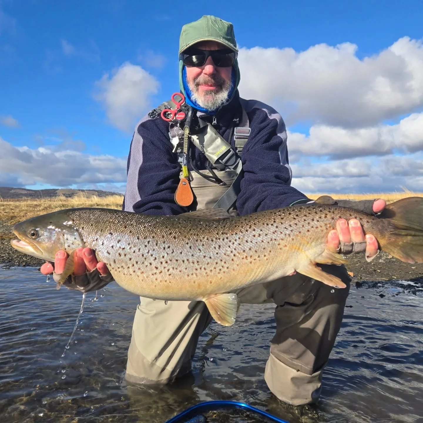 Man catches huge sea-run brown trout in Rio Grande and Rio Menendez with Wuijoor Lodge and Isolation Outfitters