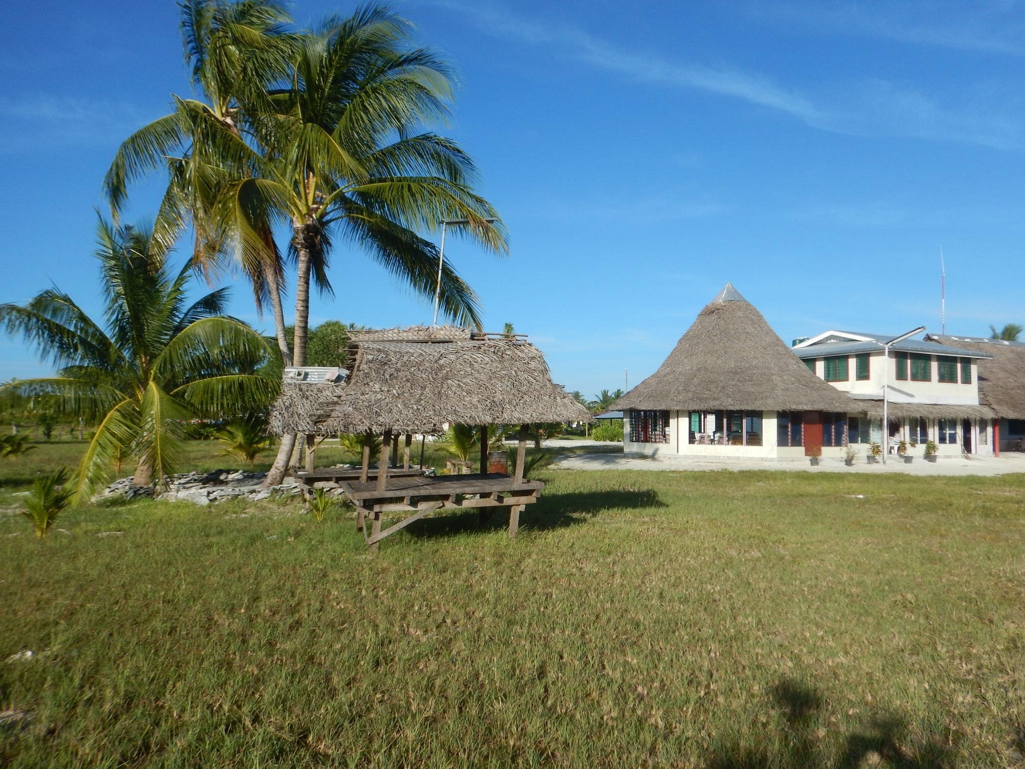 A tropical scene with palm trees, a thatched-roof hut, and a house with a conical roof under a blue sky.