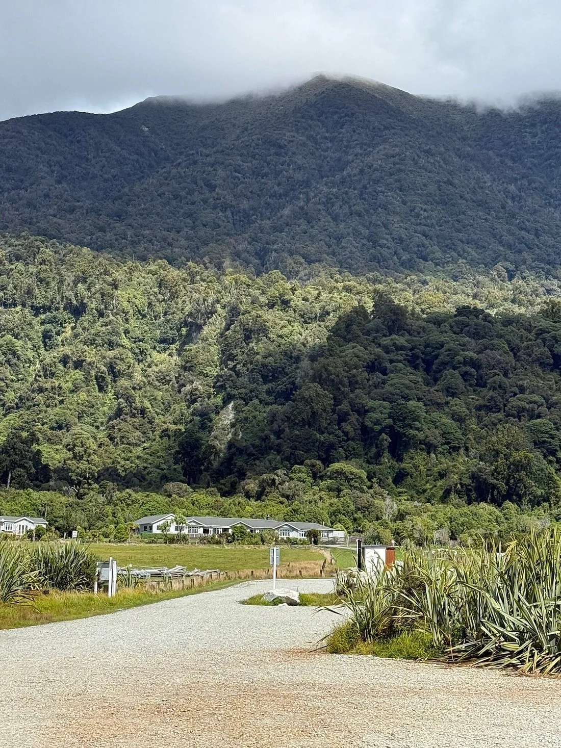 Nestled under the West Coast Bush.jpg