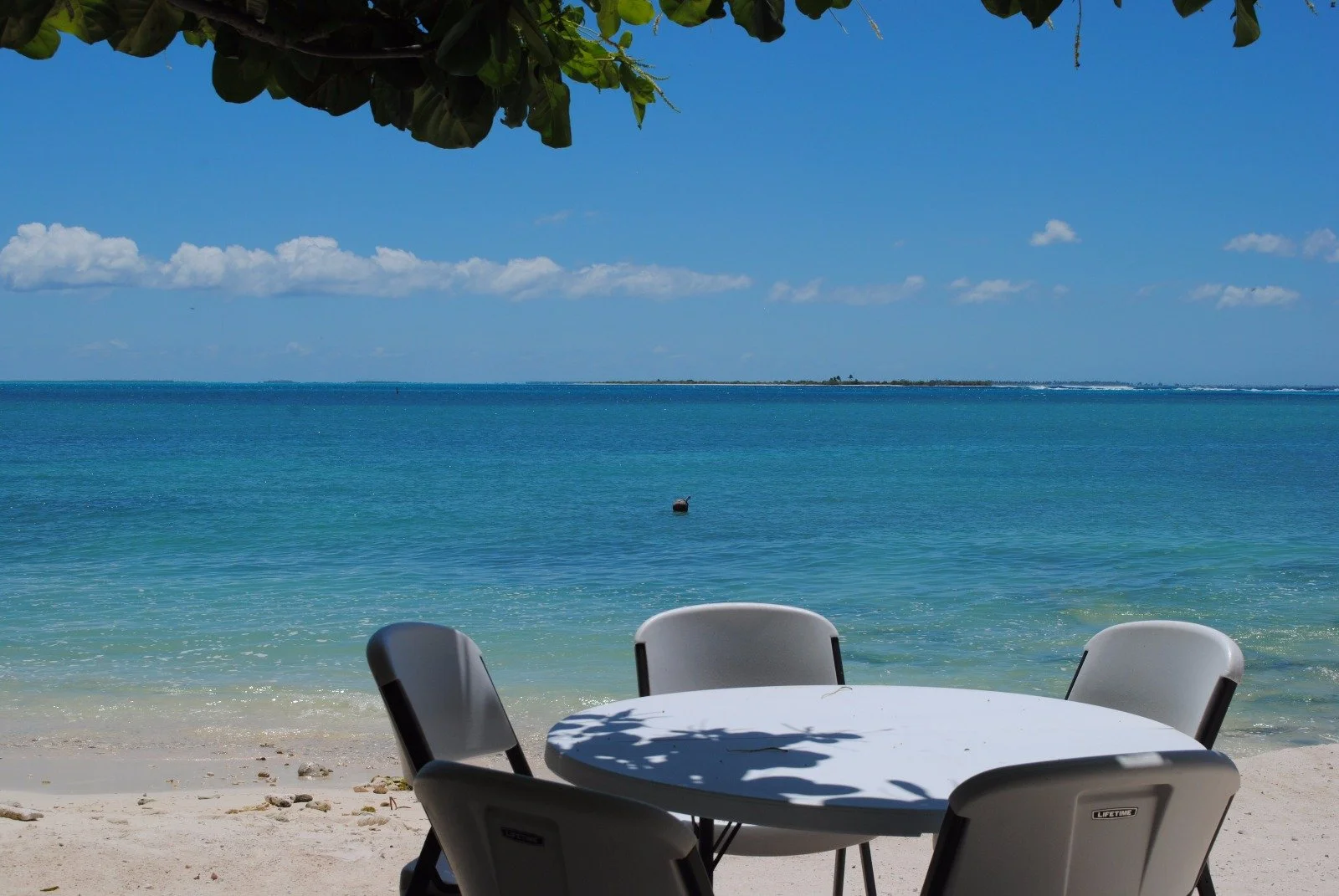 A round white table with four white chairs on a sandy beach, overlooking the ocean under a blue sky with some clouds. Some leaves cast shadows on the table.