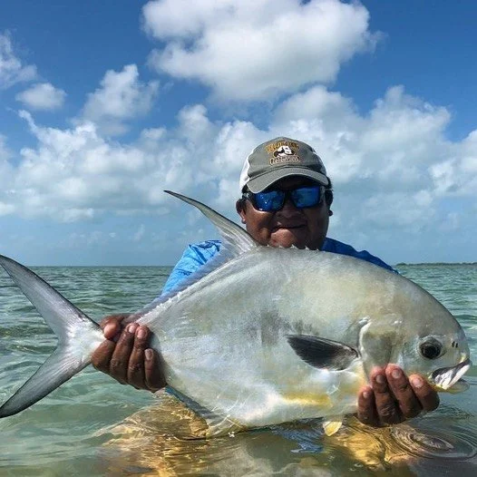 Permit at Xcalak.jpg