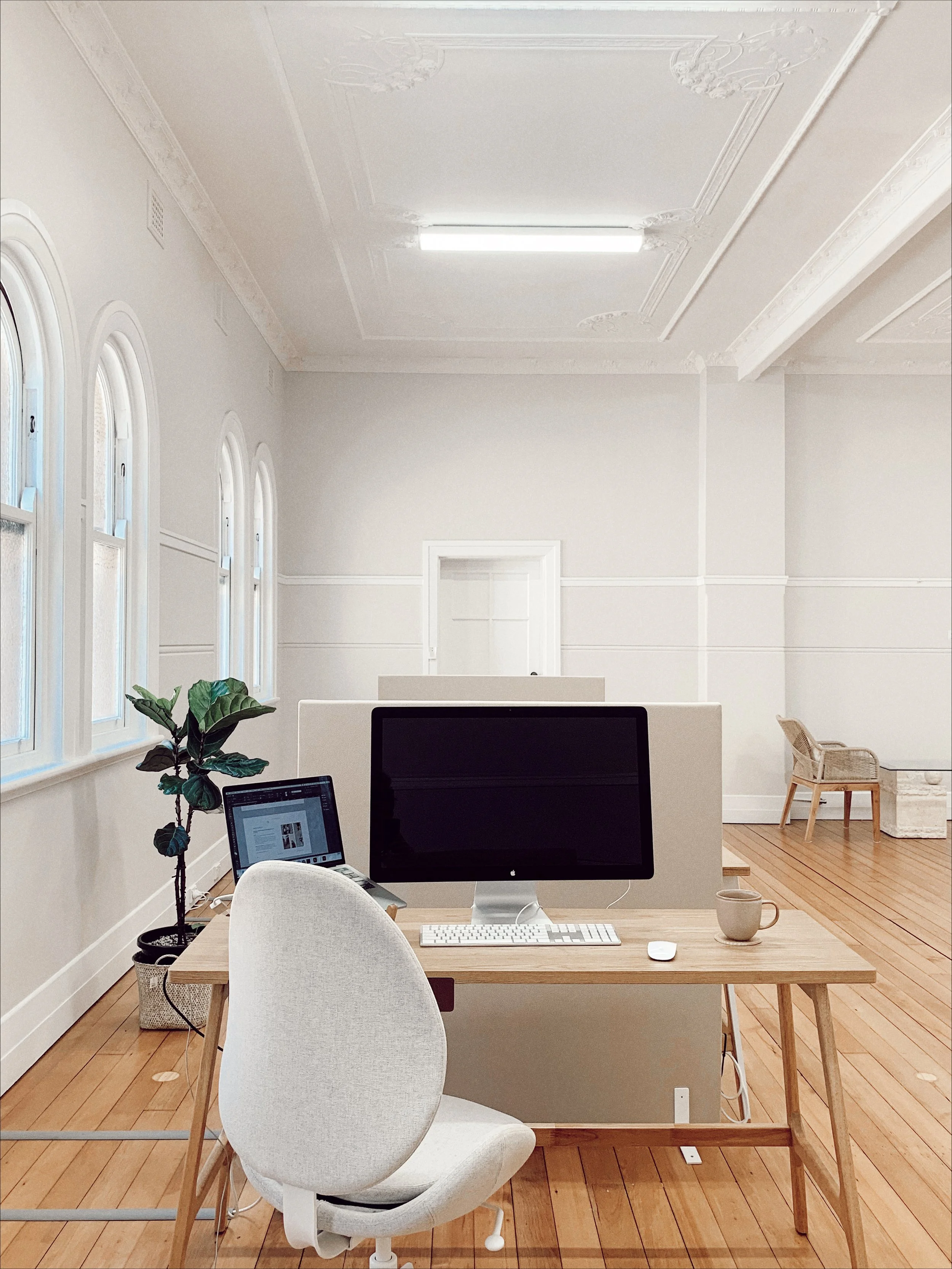 733A4325-AF7E-4F7B-B838-D679E20F8C97 3.JPG