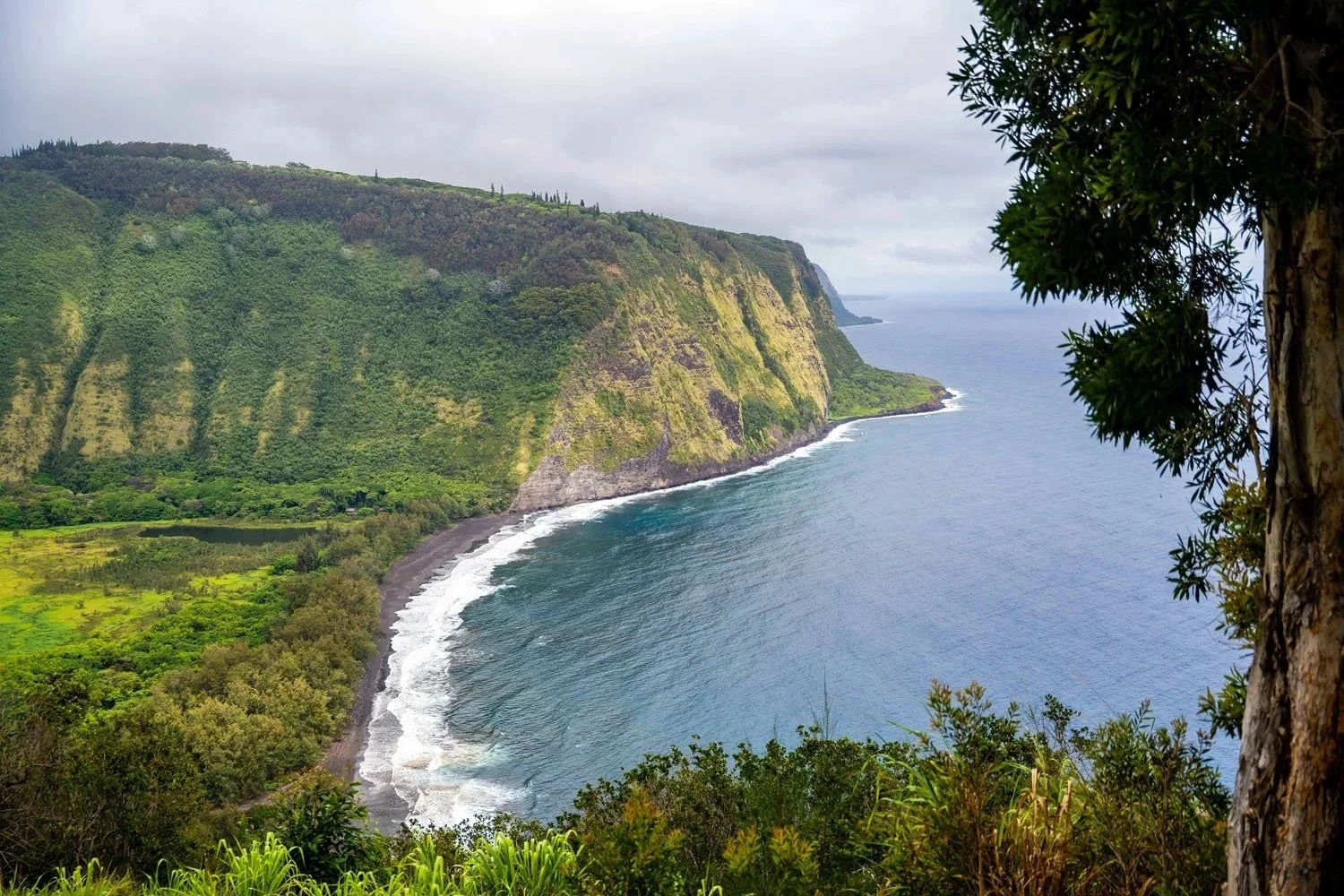 Waipio Valley overlook