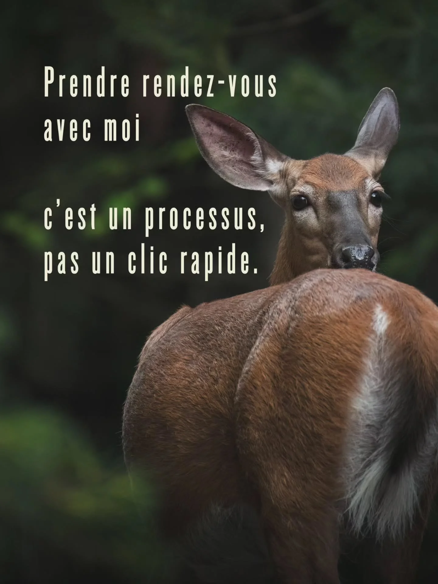 Le tatouage, pour moi, c&rsquo;est une rencontre avant tout.

Toutes les &eacute;tapes sont expliqu&eacute;es ici :
👉 https://Rendezvoustattoosteinblumecreations.as.me/
(Lien aussi en bio)