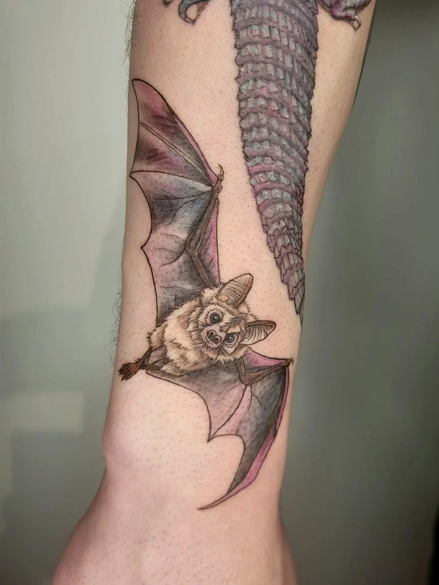 🦇 Quand un dessin trouve sa place&hellip; pour la vie.

Cette petite face cute de chauve-souris, n&eacute;e sur papier, a maintenant trouv&eacute; son foyer sur la peau de mon client &mdash; aux c&ocirc;t&eacute;s d&rsquo;un gros l&eacute;zard qui l